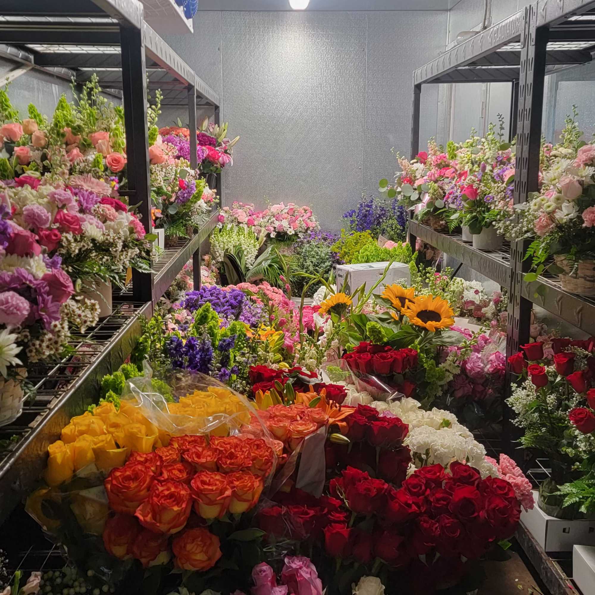 Let our designer create a beautiful arrangement with the freshest flowers of