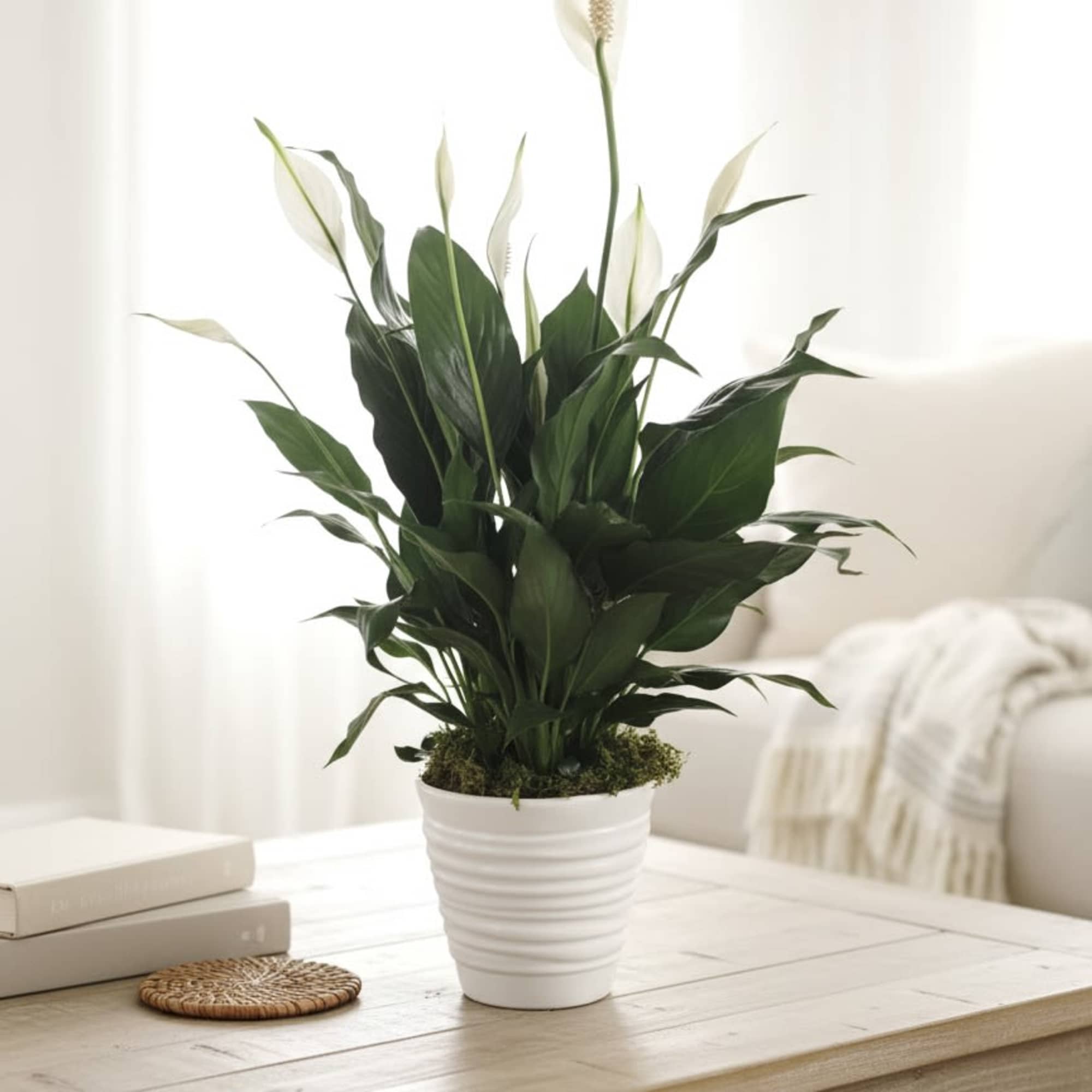 Sending peace and love to you and your loved ones during this