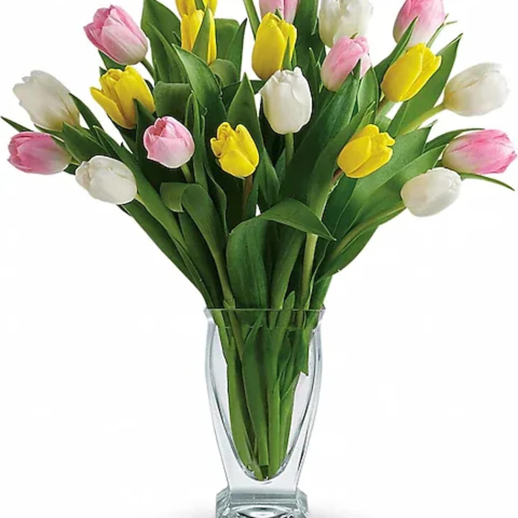 There's no reason to tiptoe around the sheer delight of tulips! And
