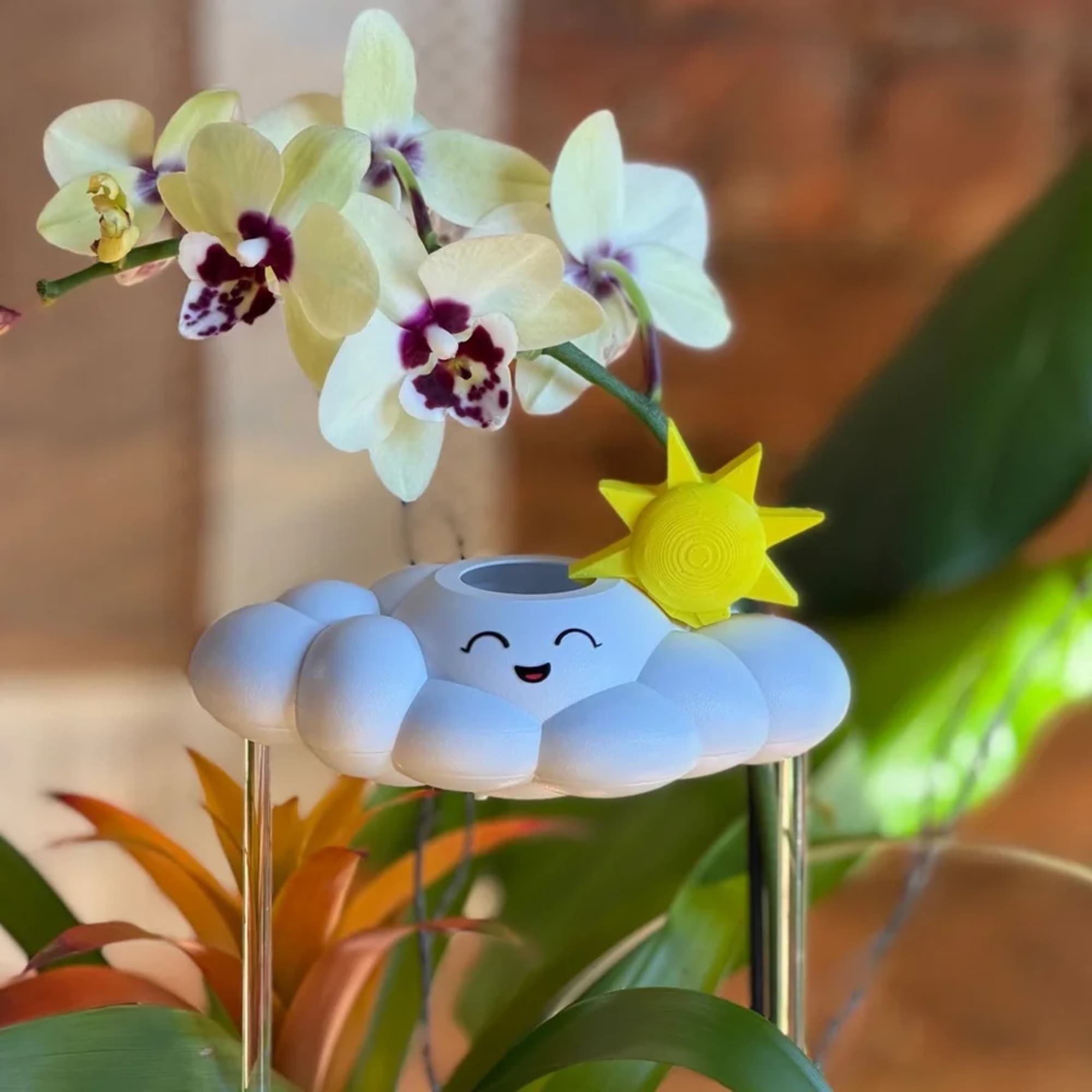 Plant not included. 
Dripping Rain Clouds are the heart of our Whimsy