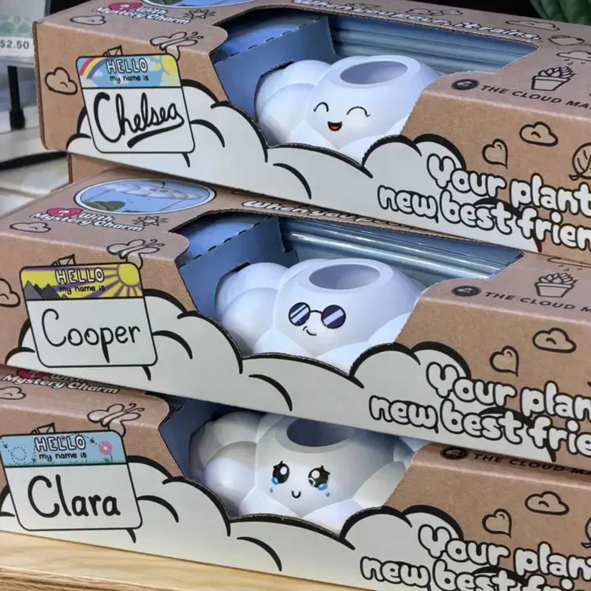 Plant not included. 
Dripping Rain Clouds are the heart of our Whimsy