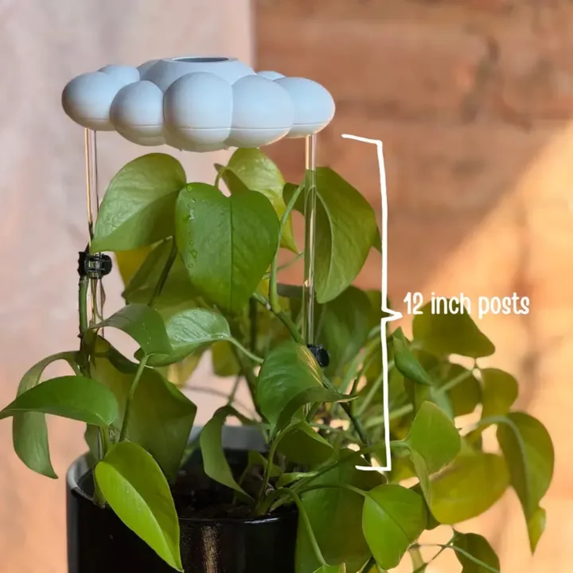 Plant not included. 
Created by a plant-loving mama, our Dripping Rain Clouds