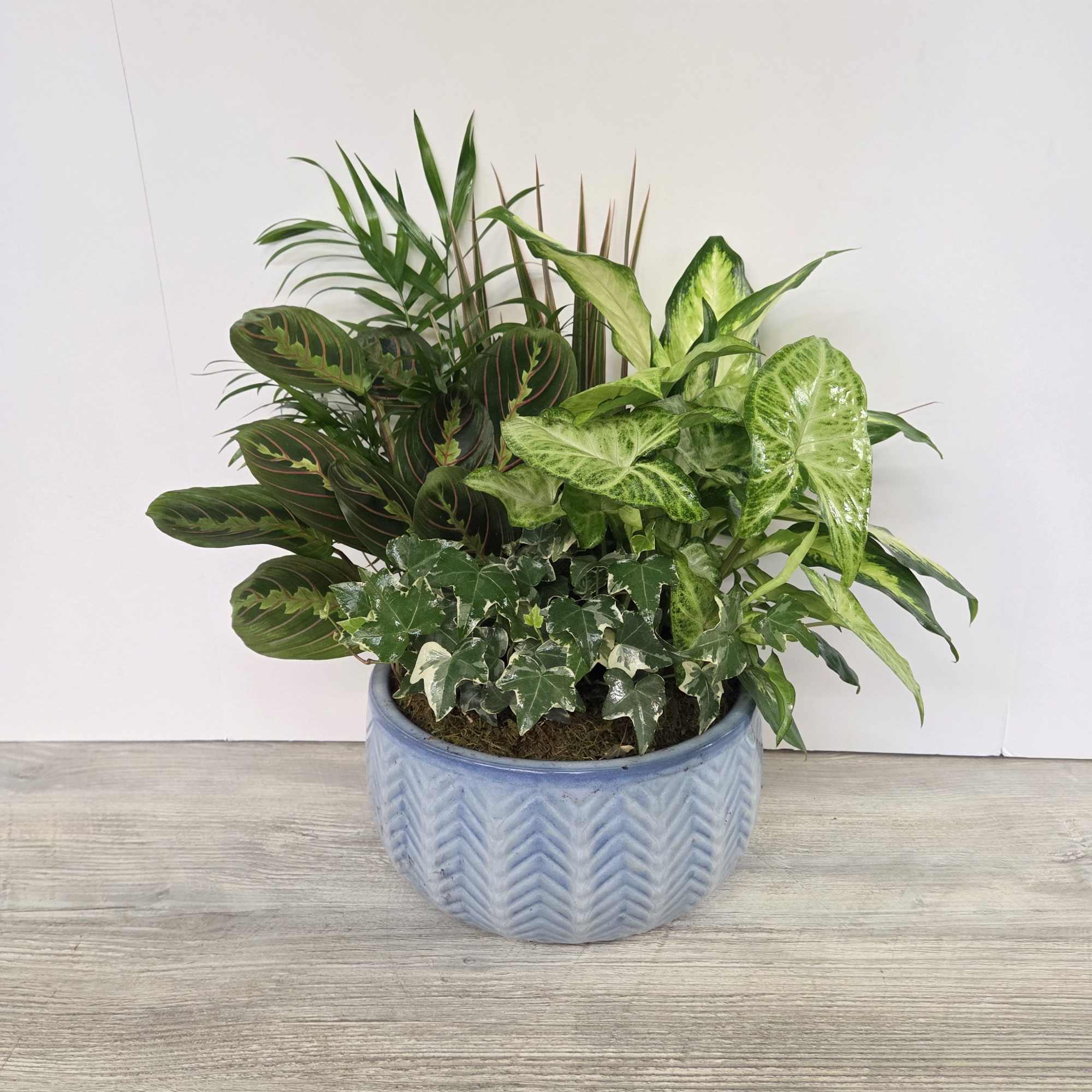 A lush combination of green plants is an exquisite gift. It's a