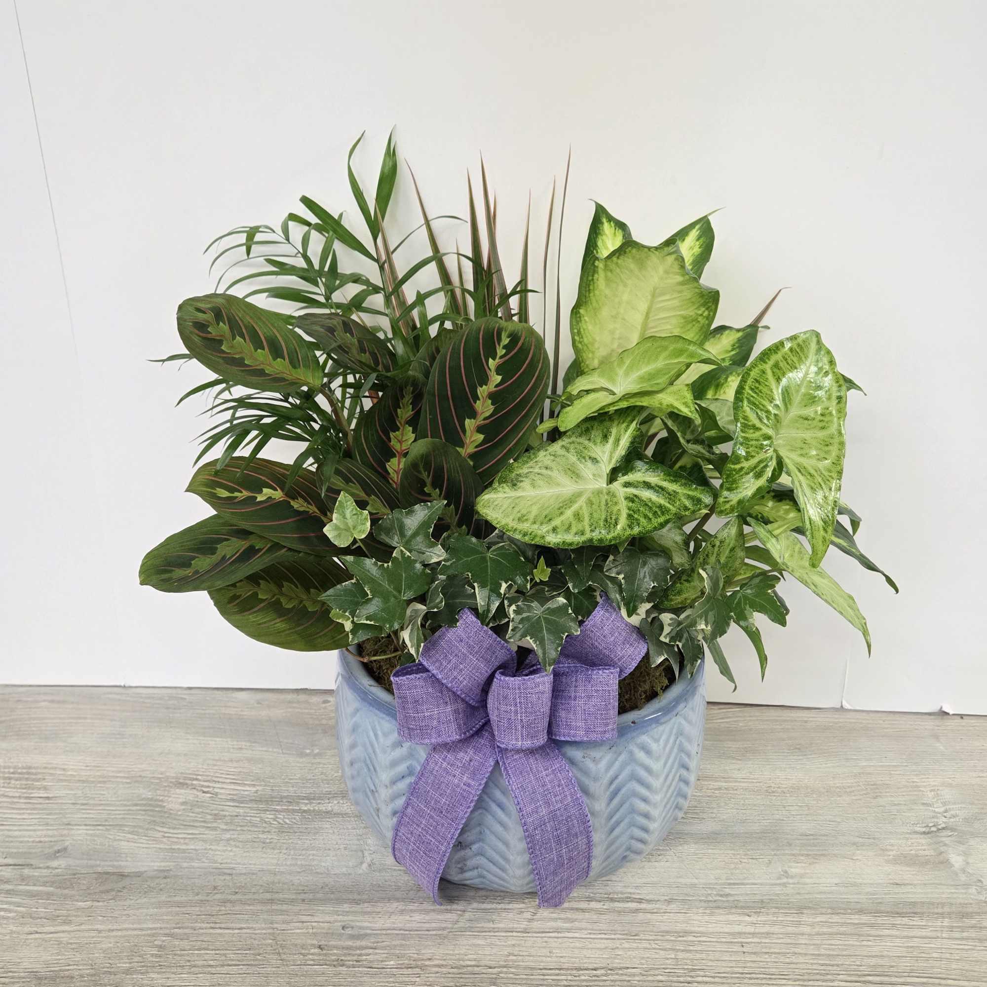 A lush combination of green plants is an exquisite gift. It's a