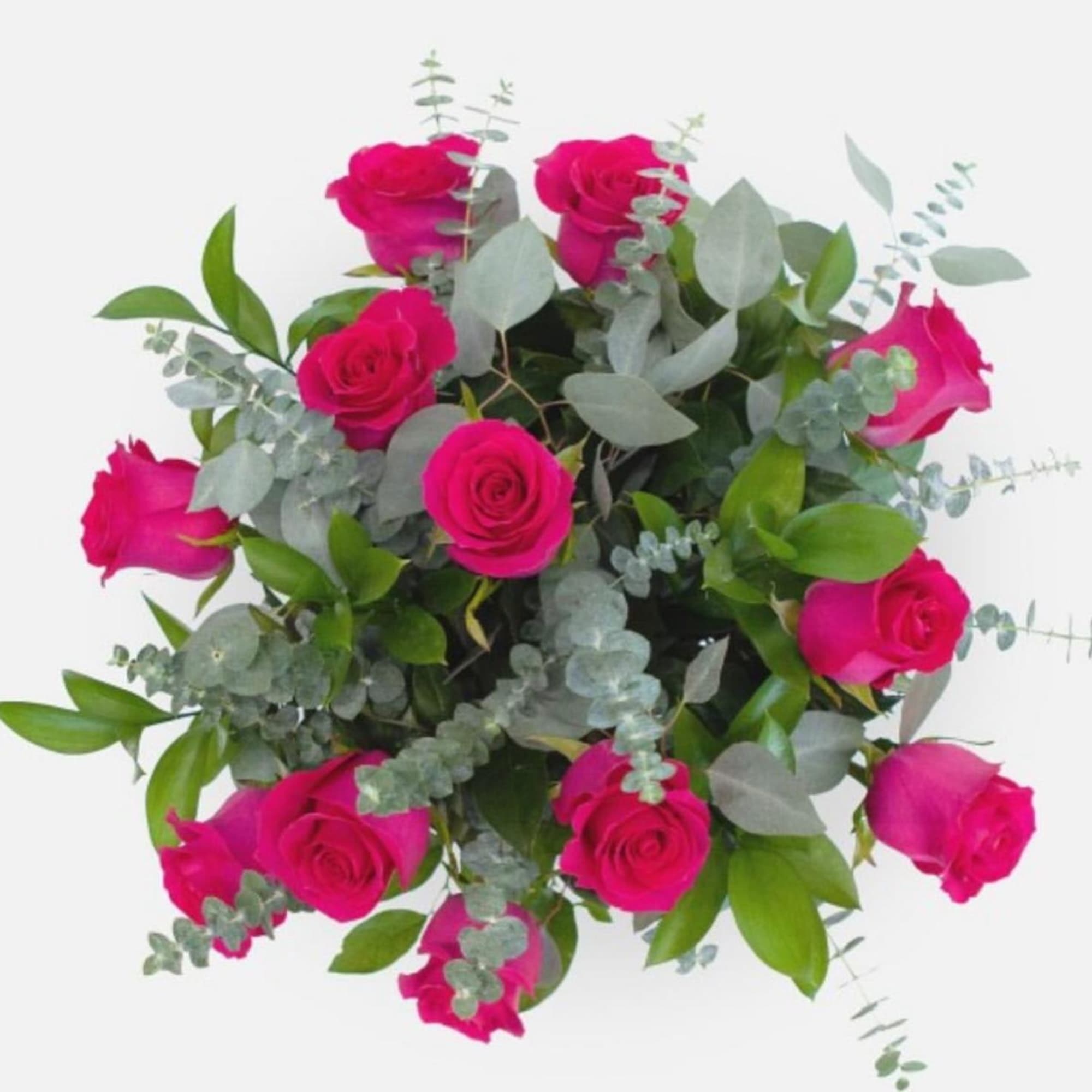 Lucious dozen of hot pinks in a vase topped with eucalyptus 