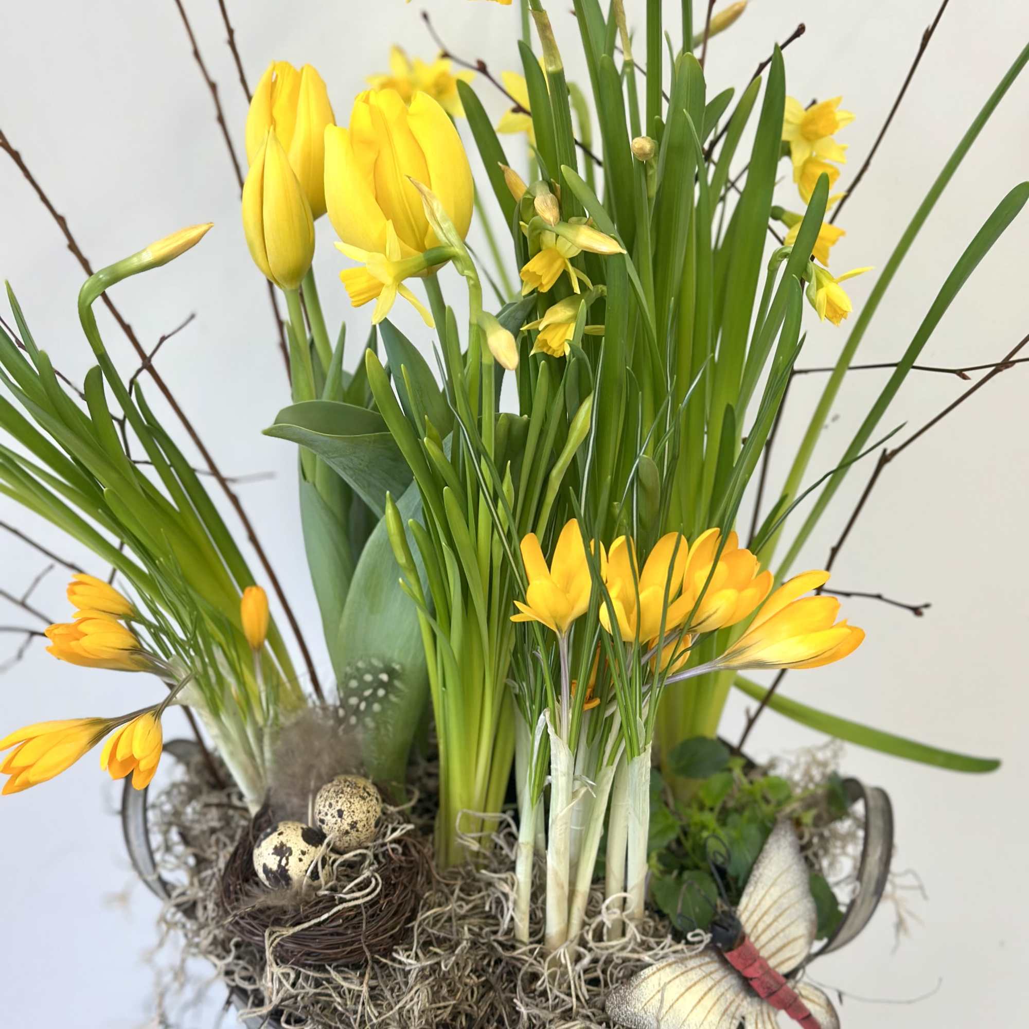 Transform your space into a vibrant oasis with the Fragrant Spring Garden