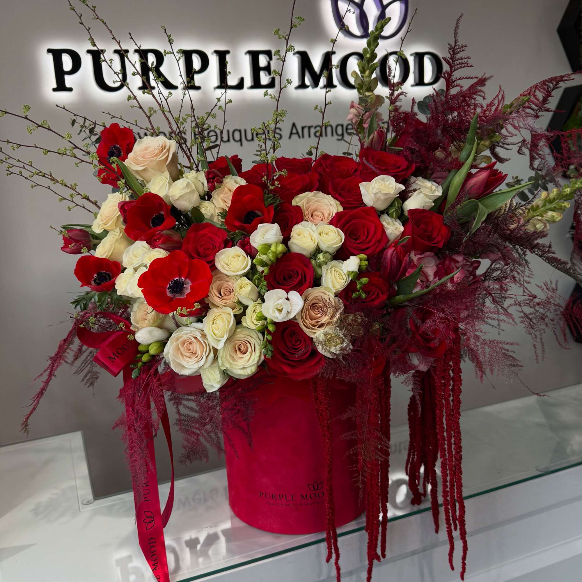 Standard - Container size D6.75'x H7.5'
Deluxe - Container size D8.25'x H9.5'

A breathtaking