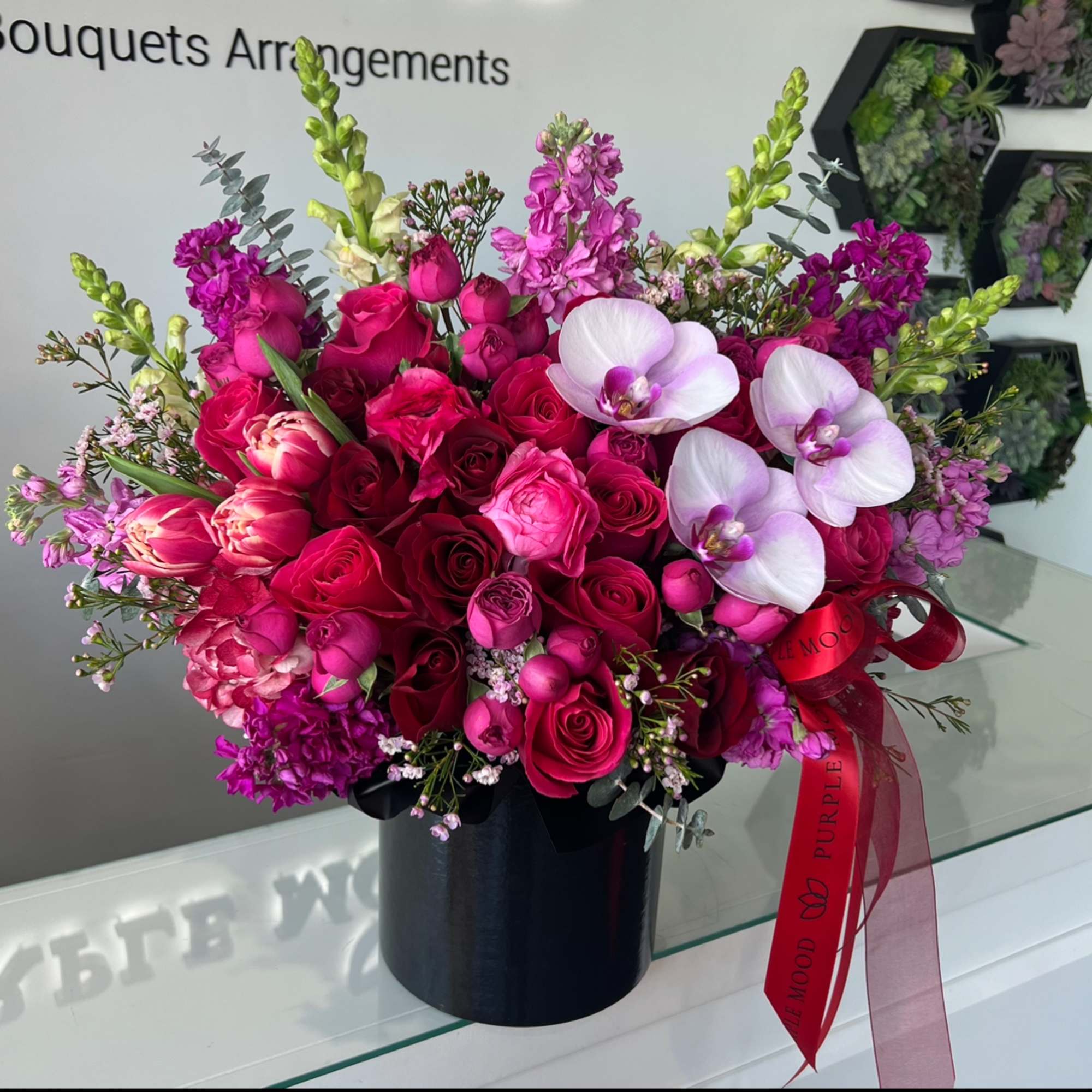 Standard - Container size D6.75'x H7.5'

Deluxe - Container size D8.25'x H9.5'

Premium -