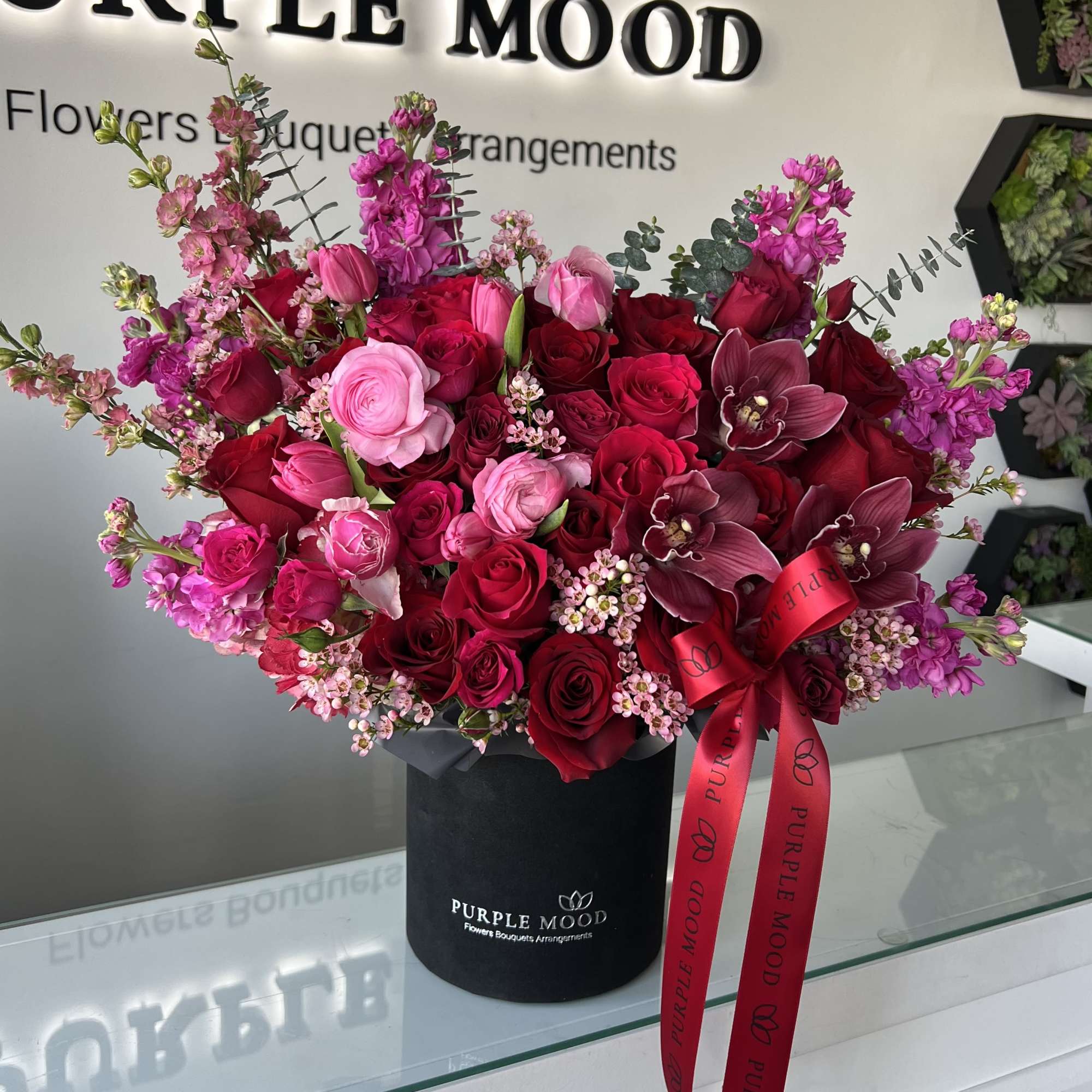 Standard - Container size D6.75'x H7.5'

Deluxe - Container size D8.25'x H9.5'

Premium -