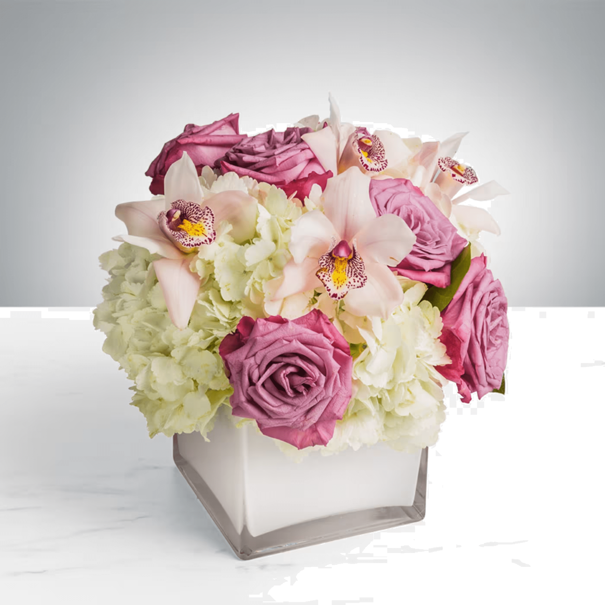 Short arrangement of mauve roses, pale orchids, and white hydrangeas in a white cube vase