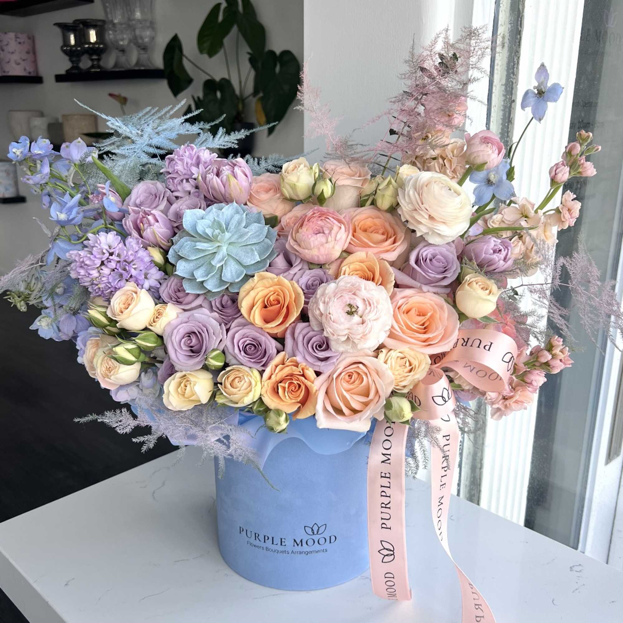 Standard container size - D6.75'x H7.5'

Deluxe container size - D8.25'x H9.5'

Premium container