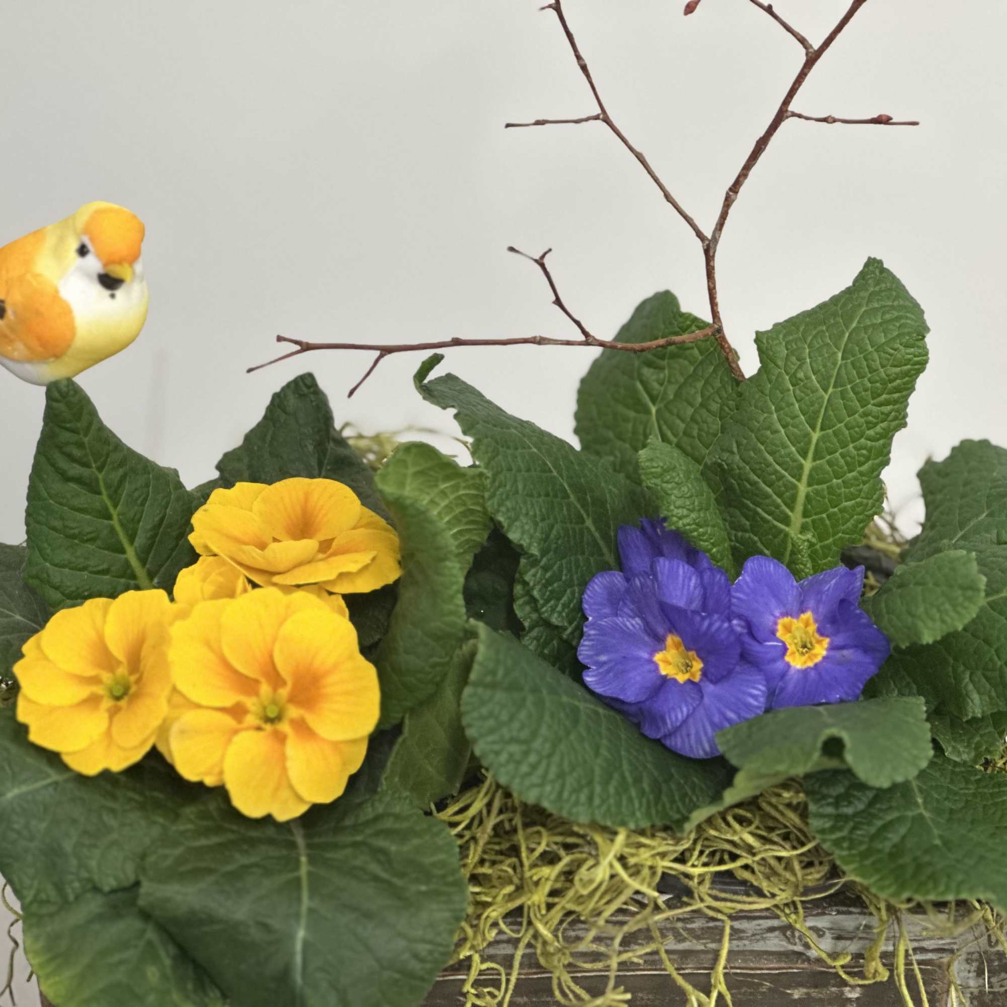 Step into a world of vibrant colors and delightful scents with the