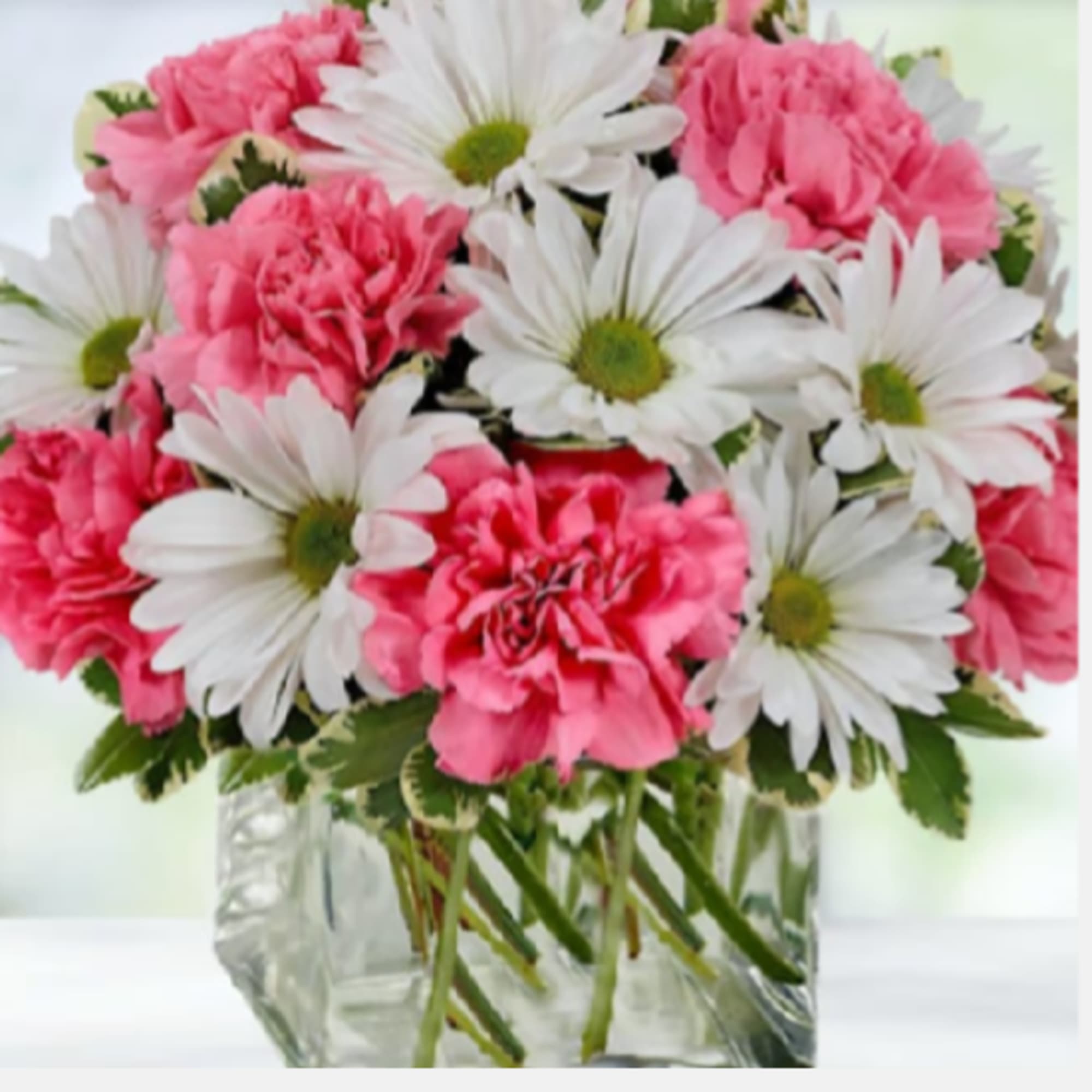Bright pink carnations nestled among crisp white daisies create an immediate mood