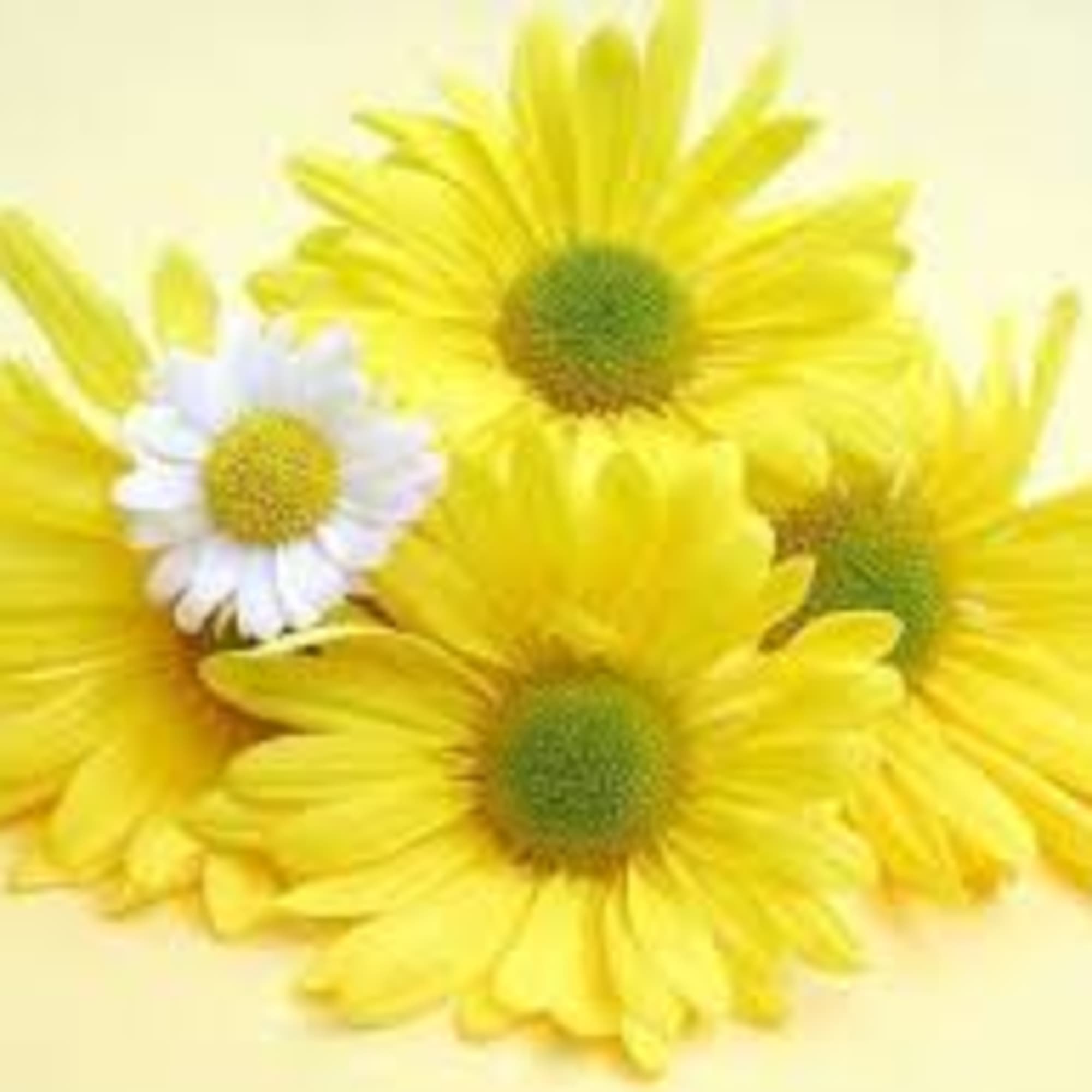 Designer&rsquo;s Choice of fresh seasonal blooms elegantly designed.

Due to the current situation