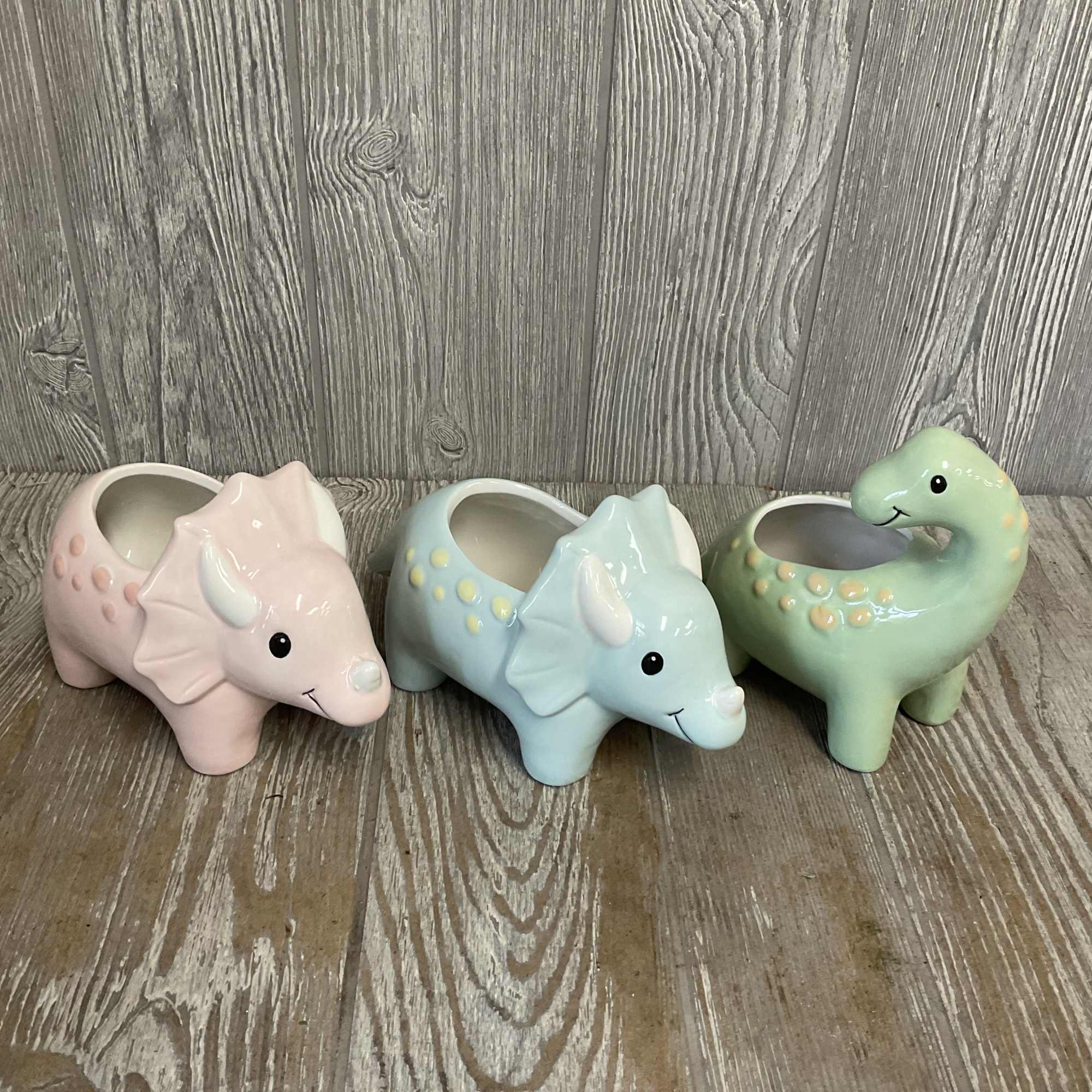 Welcome Dino! These floral arrangements, in ceramic keepsake dinosaur containers, are the