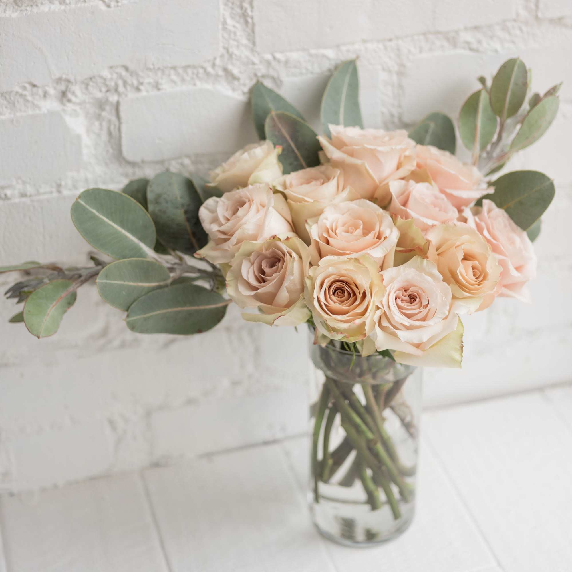 One dozen gorgeous pink/blush roses mixed with foliage. Beautifully wrapped and tied