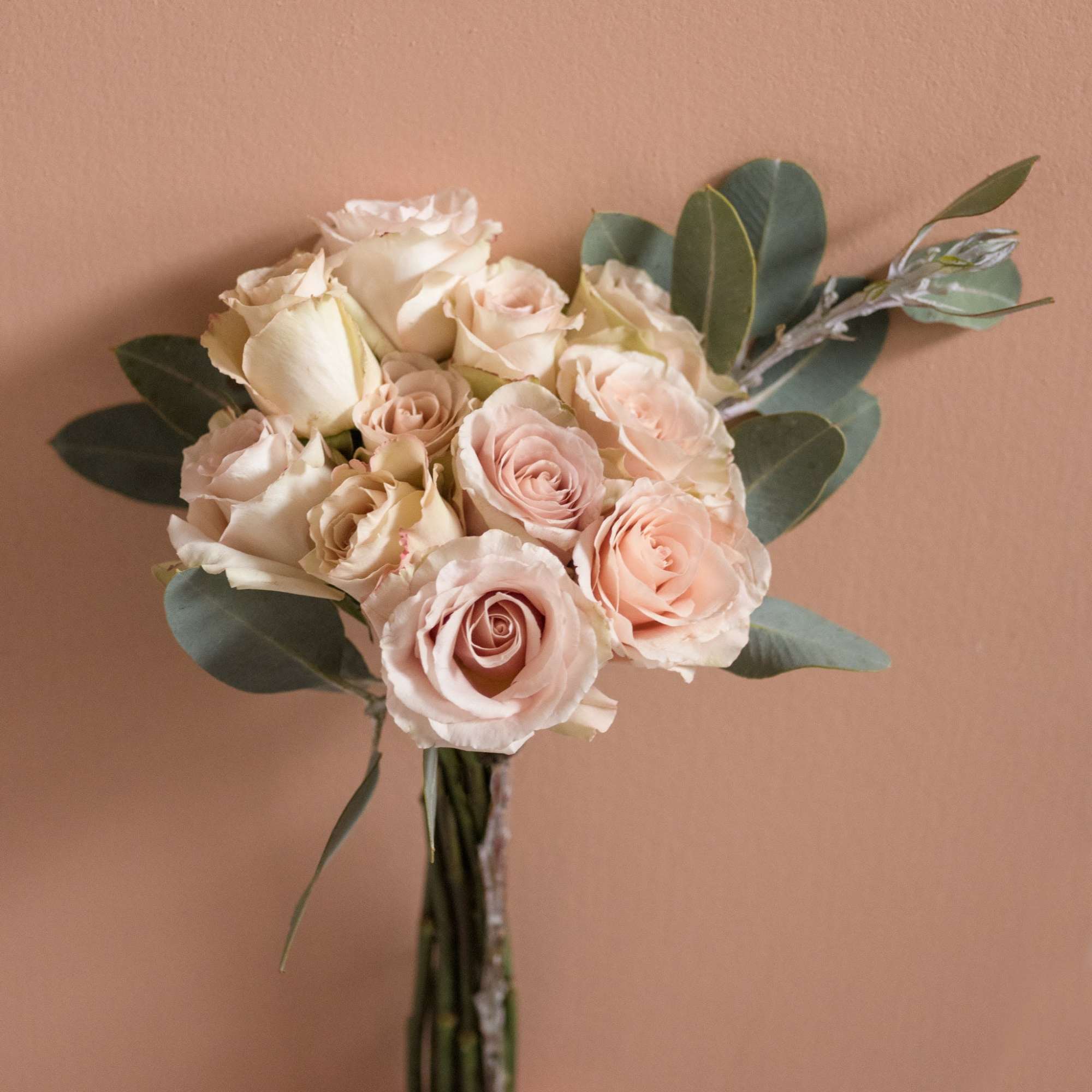 One dozen gorgeous pink/blush roses mixed with foliage. Beautifully wrapped and tied