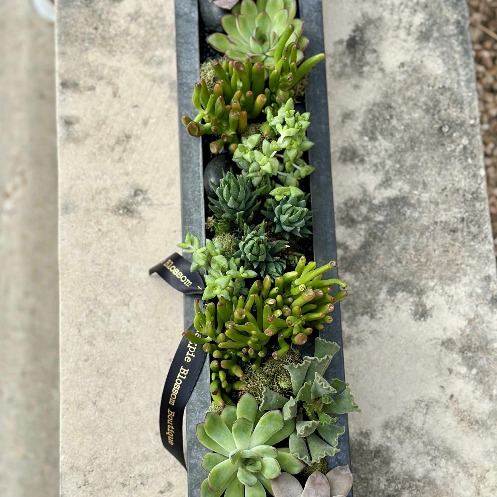 The Belvedere garden is a sleek metal rectangular vessel, adorned with a