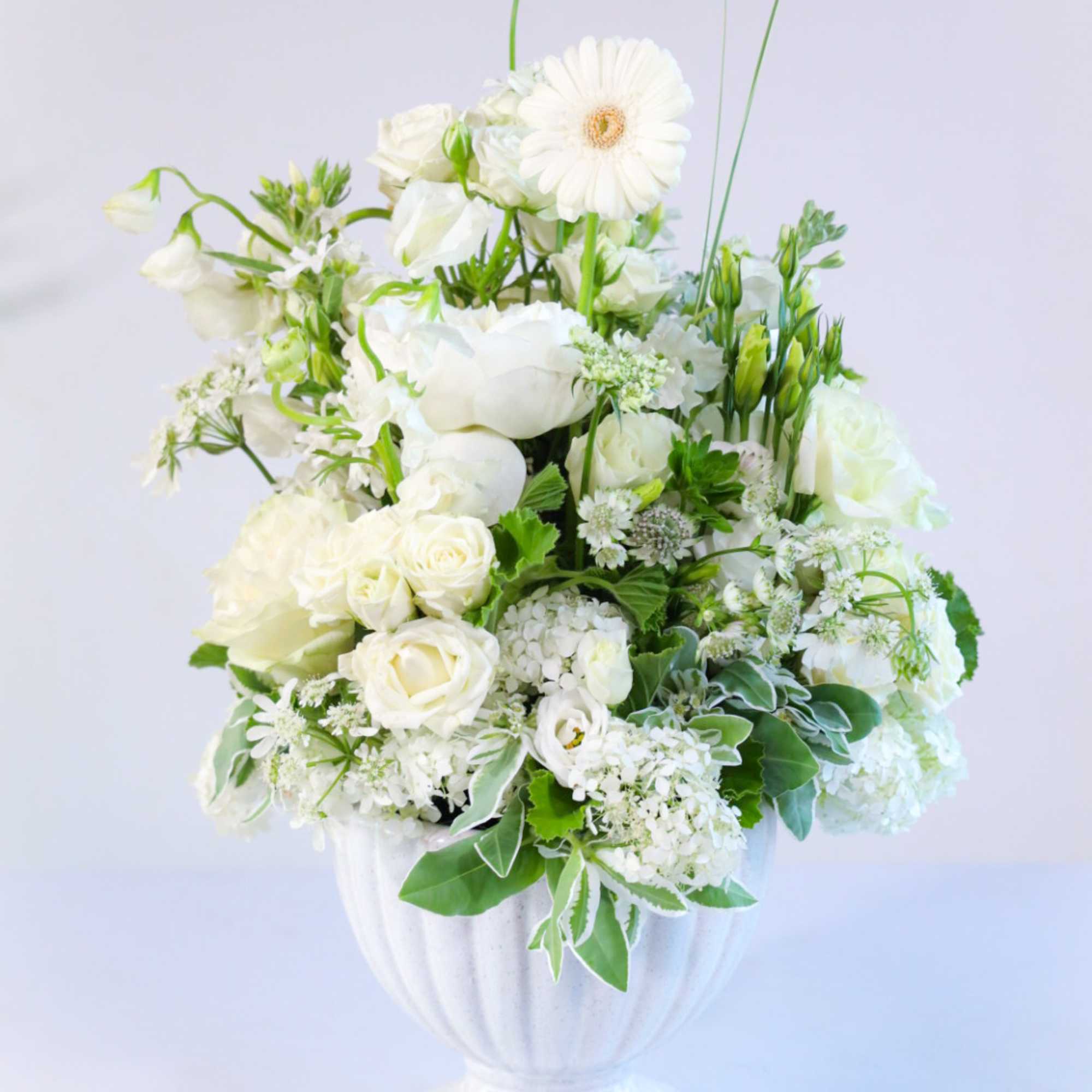 Shop our full collection on our fine art floral studio, direct website: