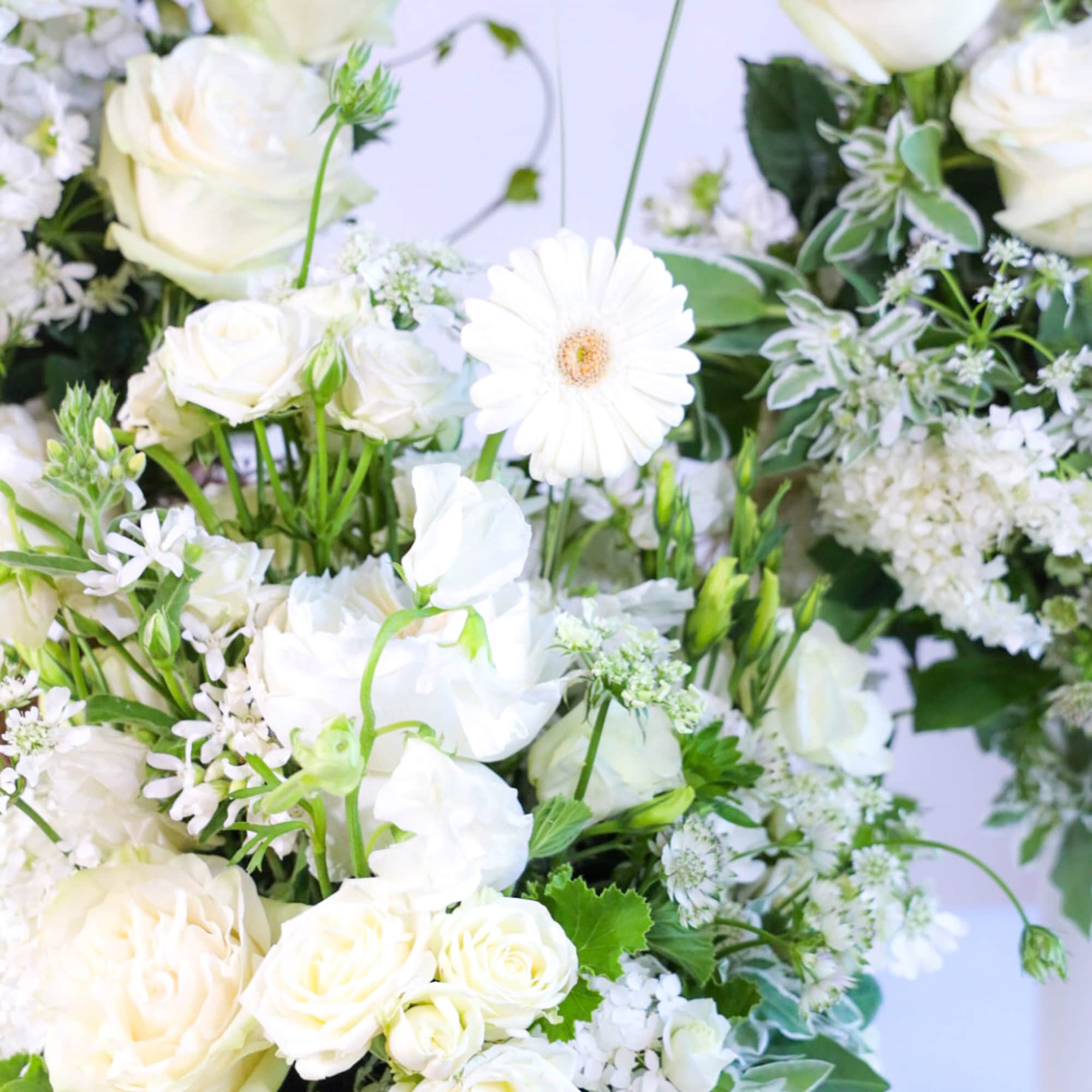 Shop our full collection on our fine art floral studio, direct website: