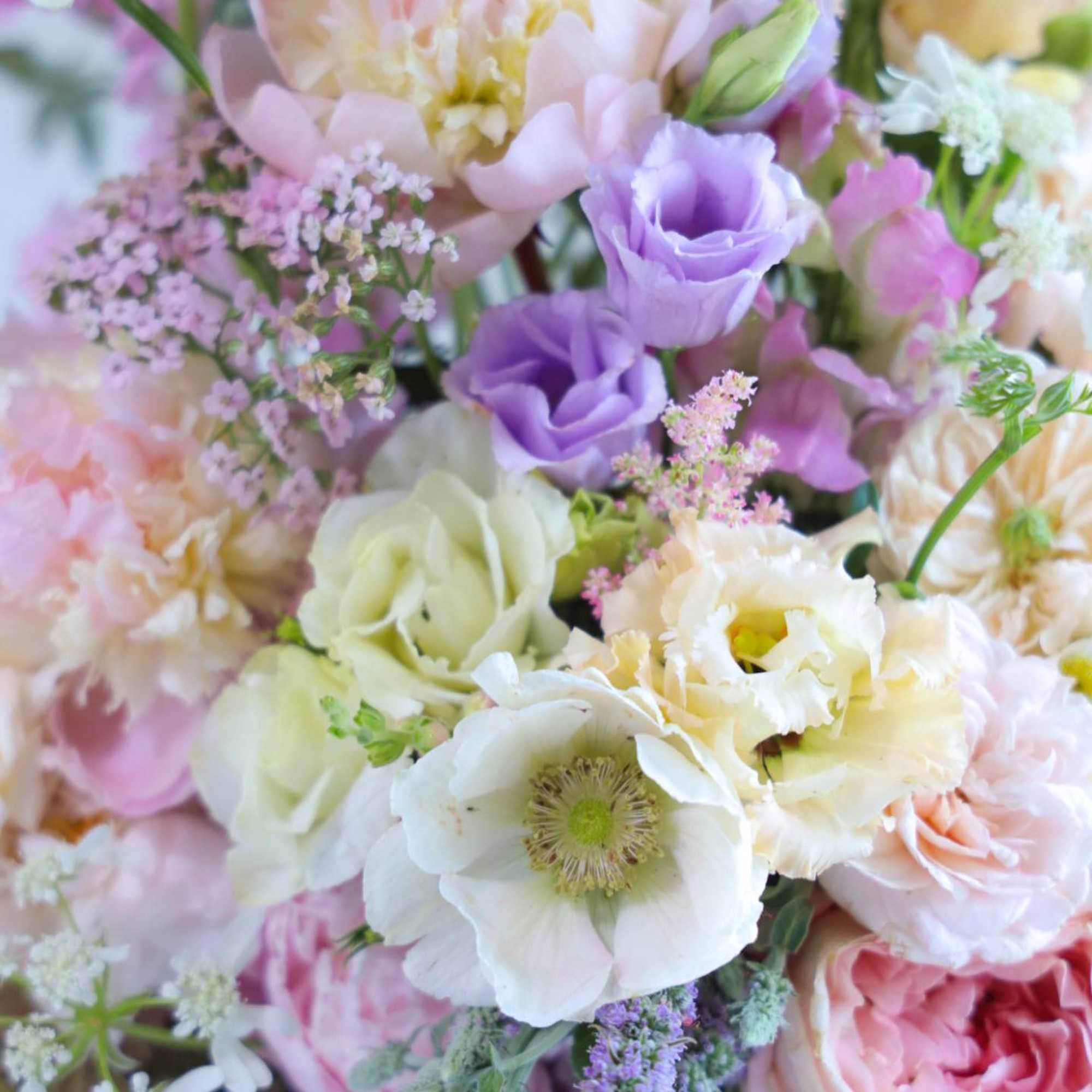 Shop our full collection on our fine art floral studio, direct website: