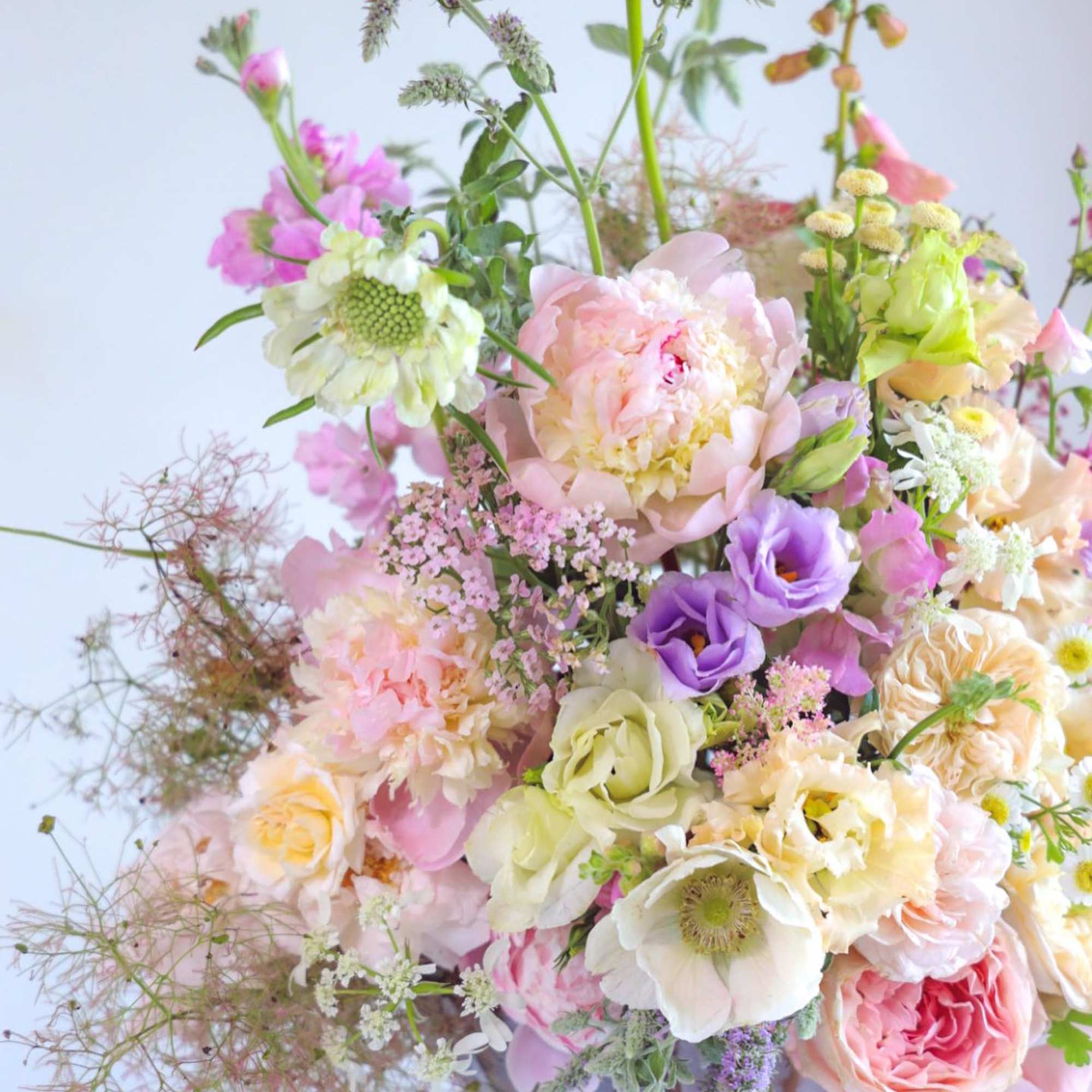 Shop our full collection on our fine art floral studio, direct website: