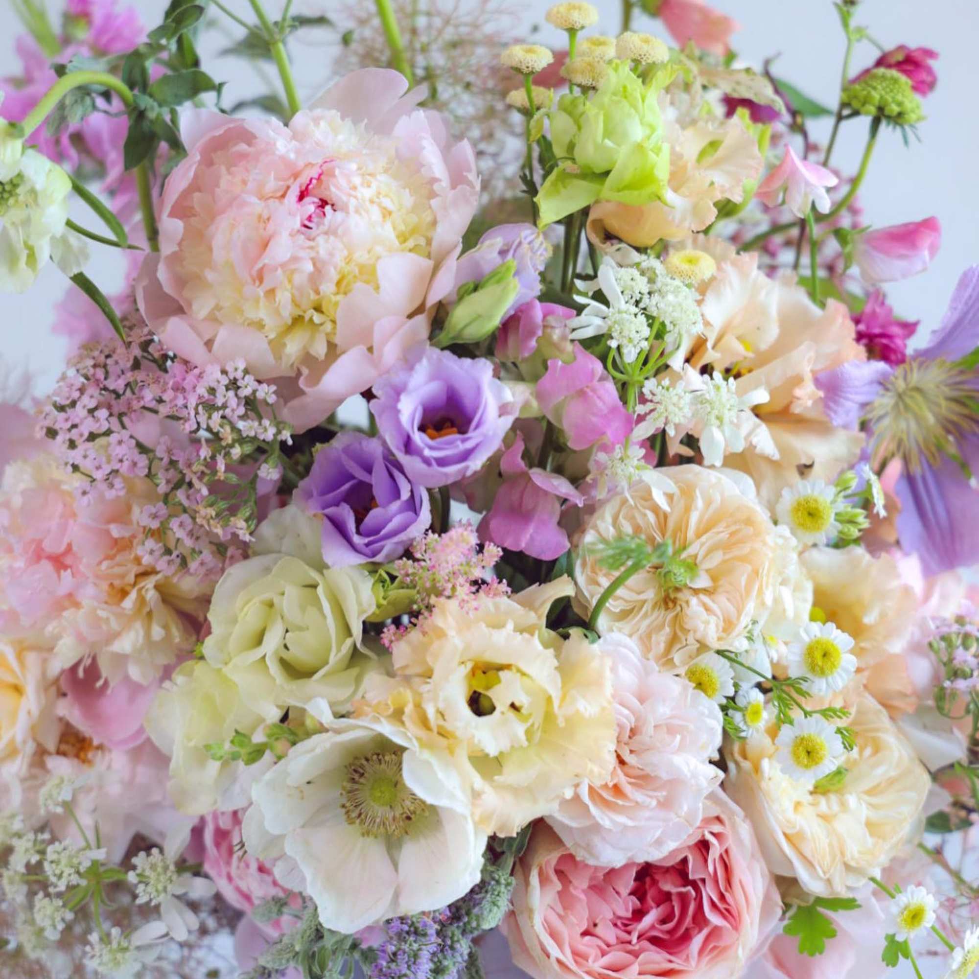 Shop our full collection on our fine art floral studio, direct website: