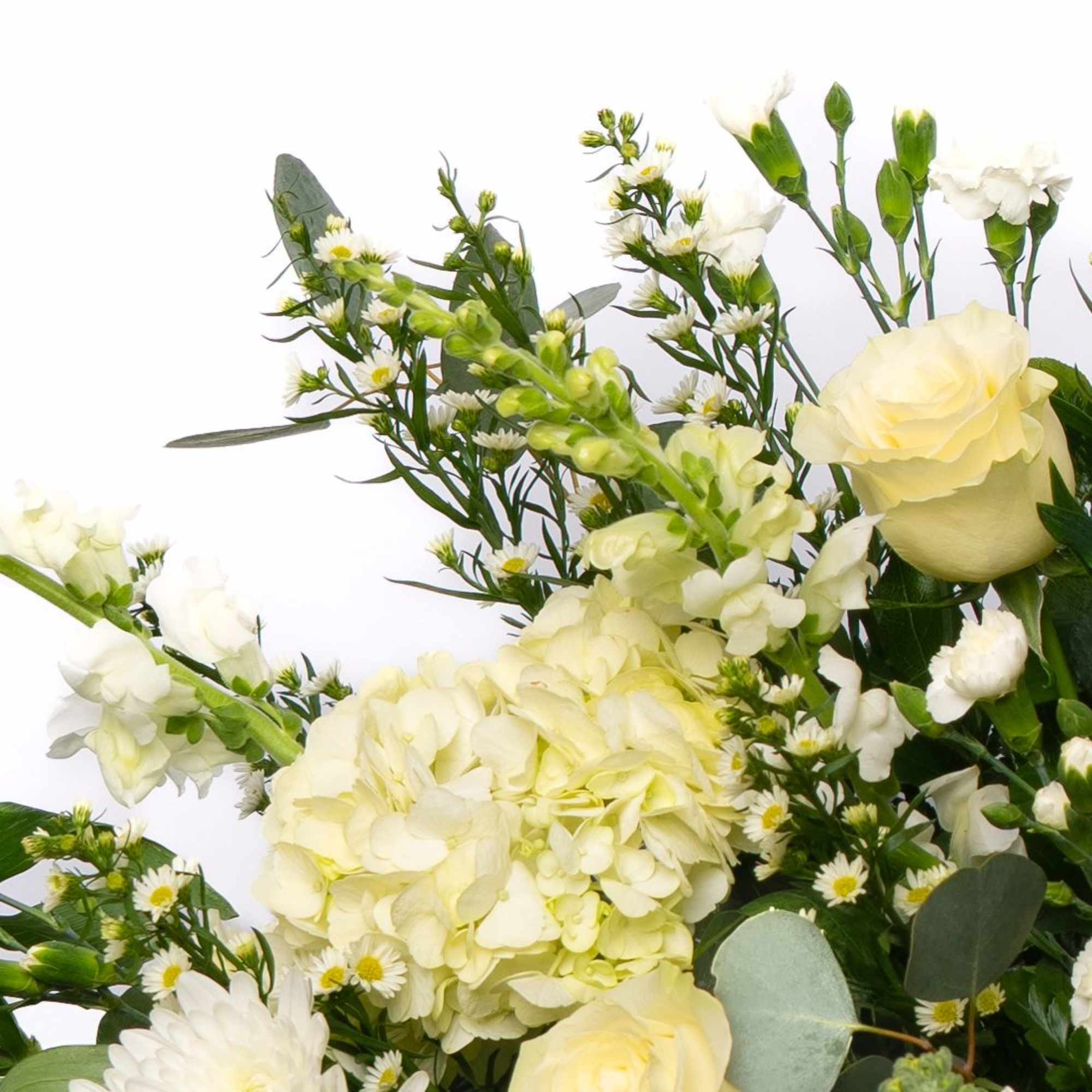 A classic and elegant tribute, this full casket spray is designed with