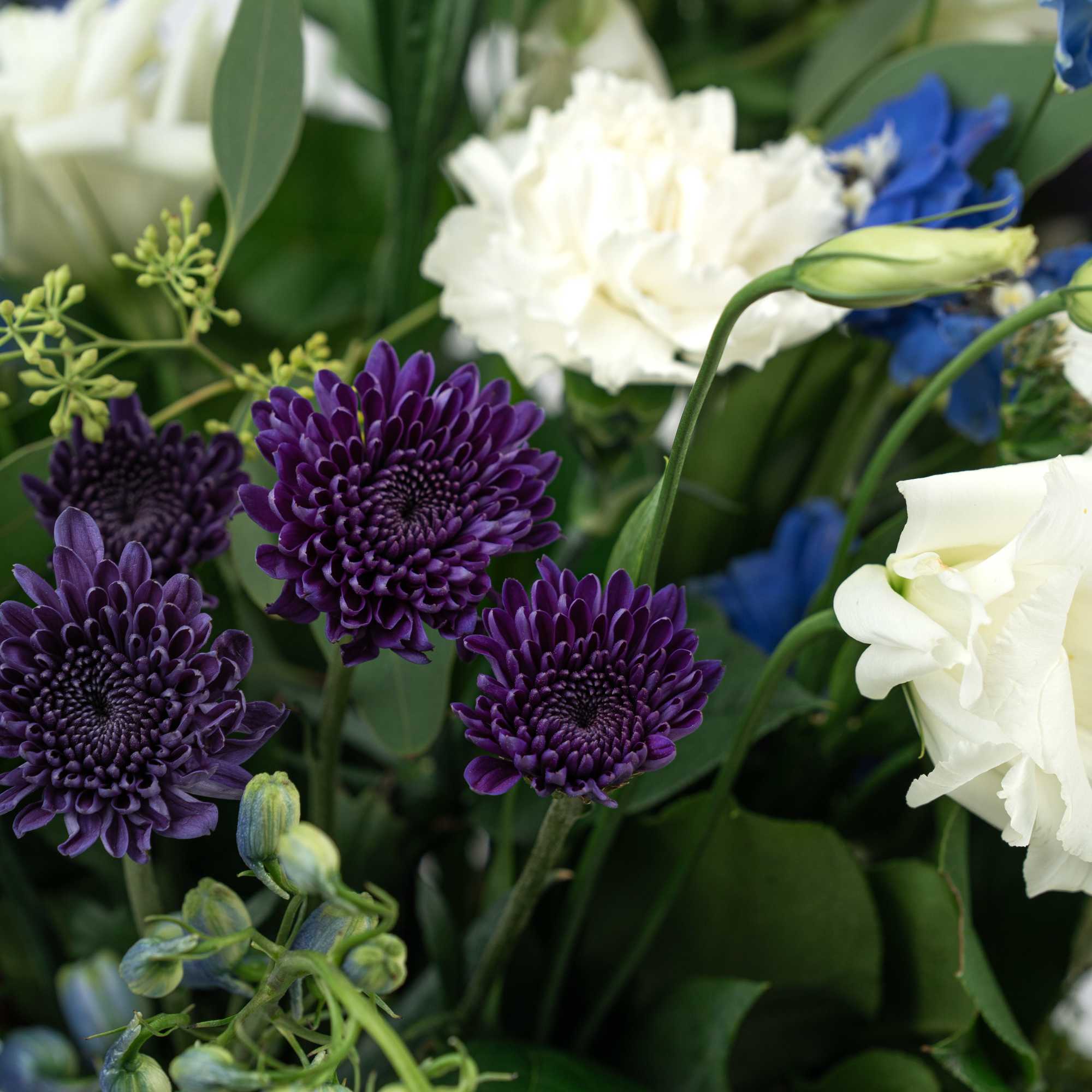 Our Blooming Birthday Wishes Collection celebrates birthdays with bright blooms in cheerful