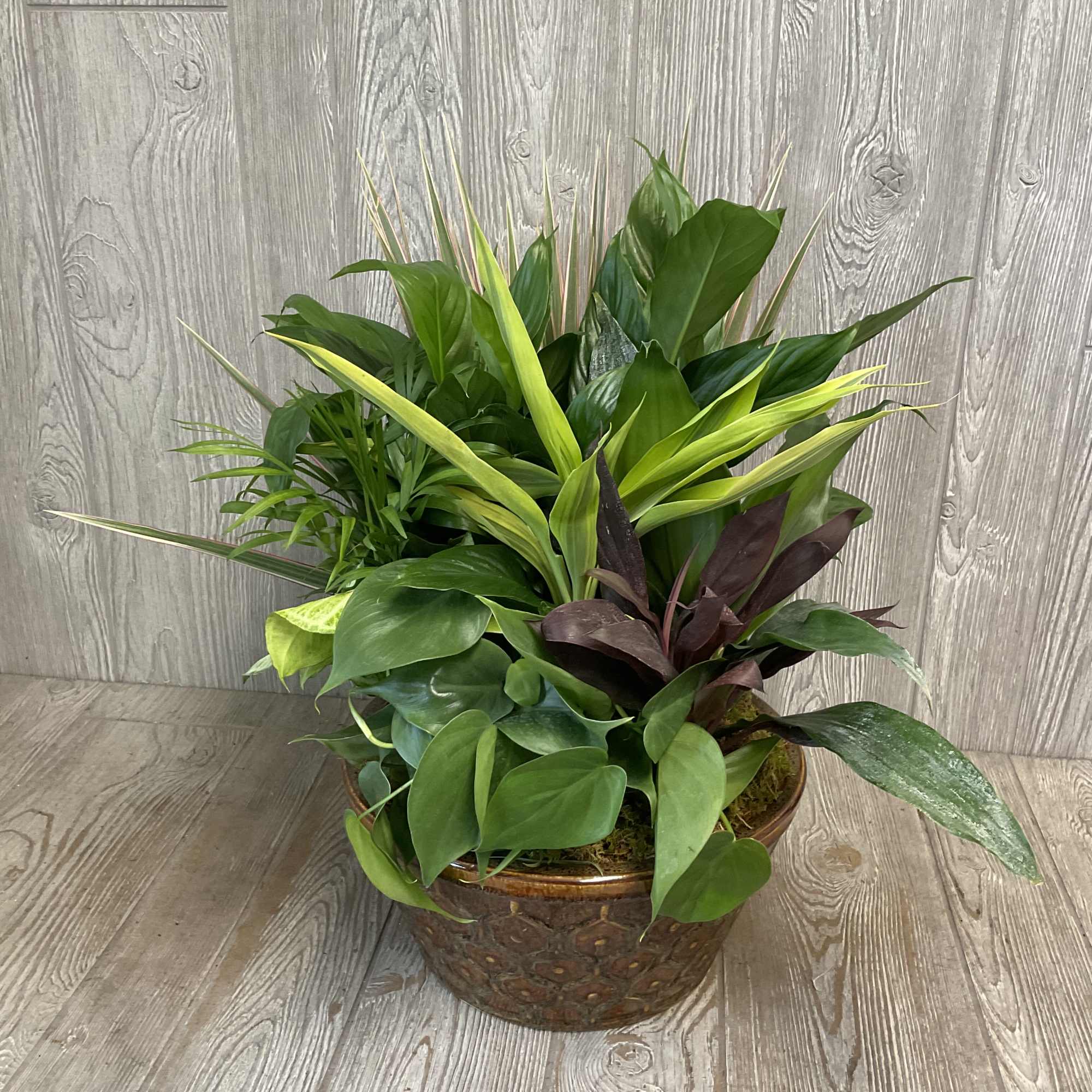 A lovely collection of plants in a ceramic container with fresh cut