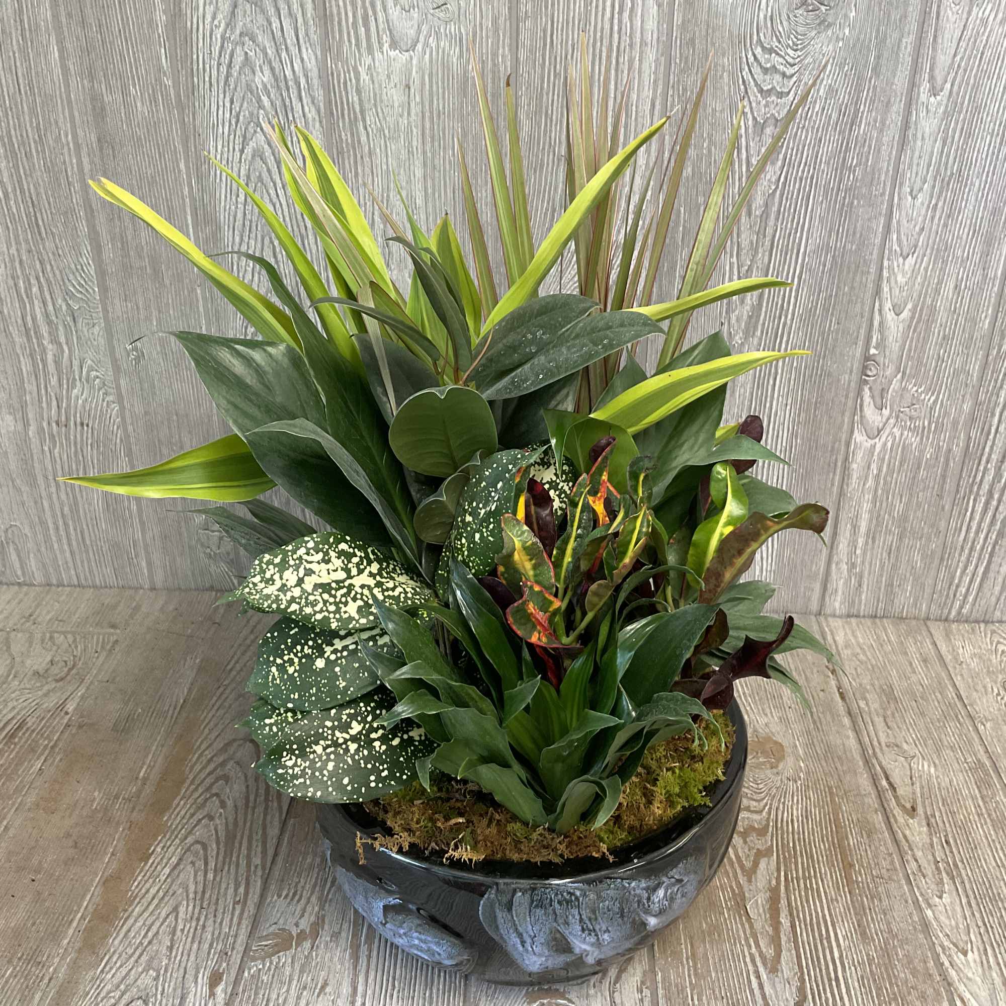 A lovely collection of plants in a ceramic container with fresh cut