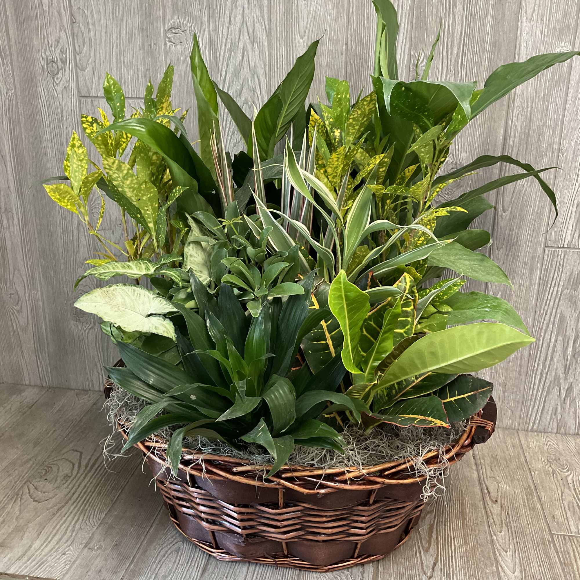 A lovely collection of plants in a ceramic container with fresh cut