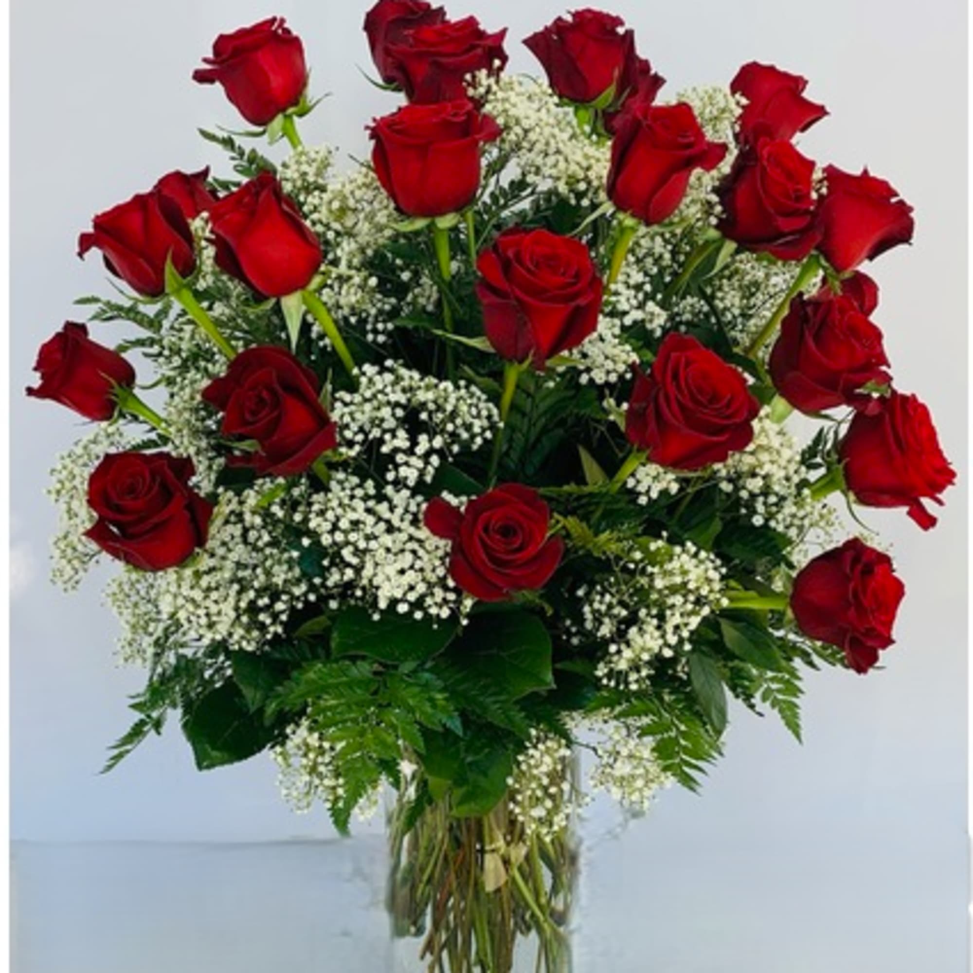 The Freedom/Heart Roses have large, cup-shaped blooms with a velvety texture. The