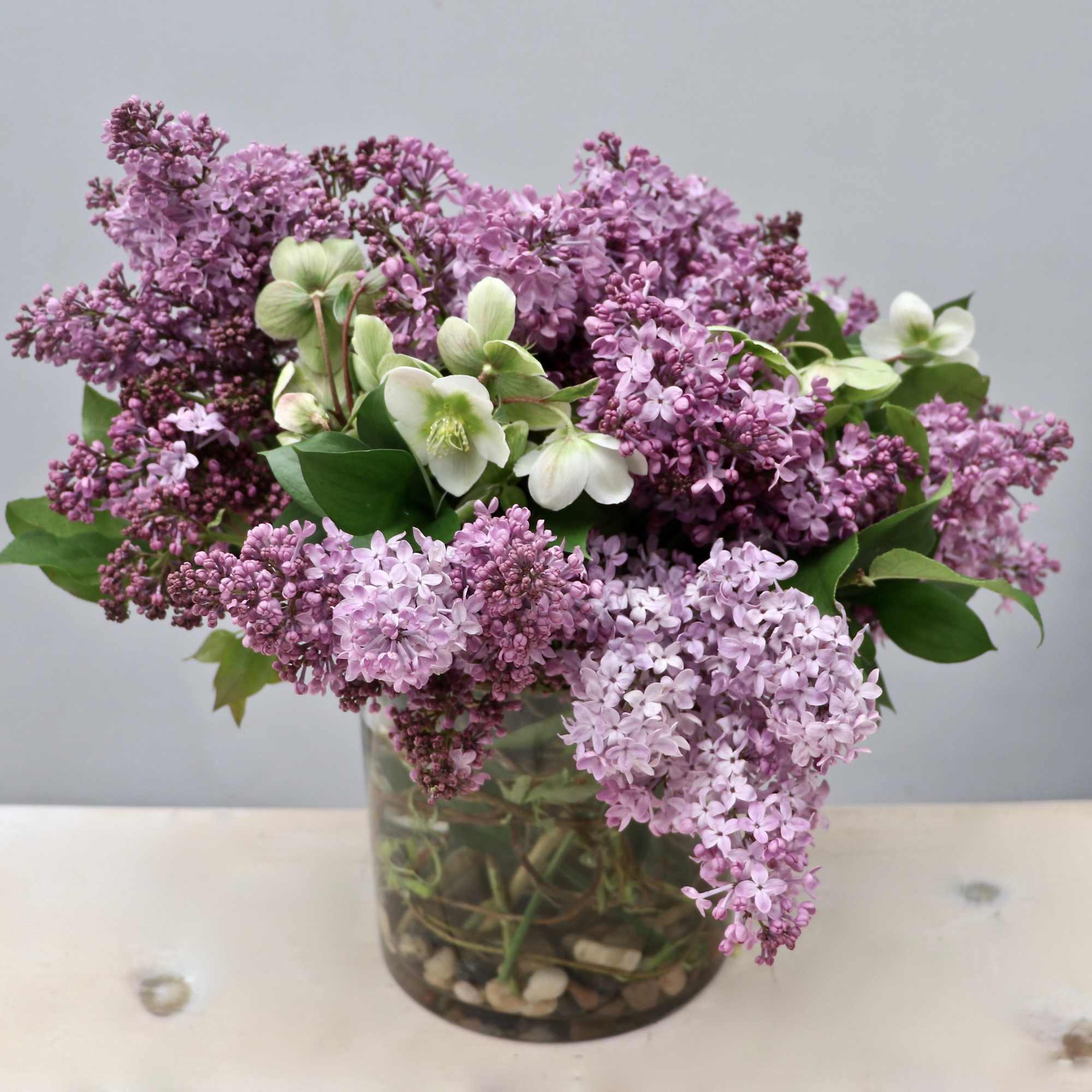 We really have a BIG passion for lilacs! This is the perfect