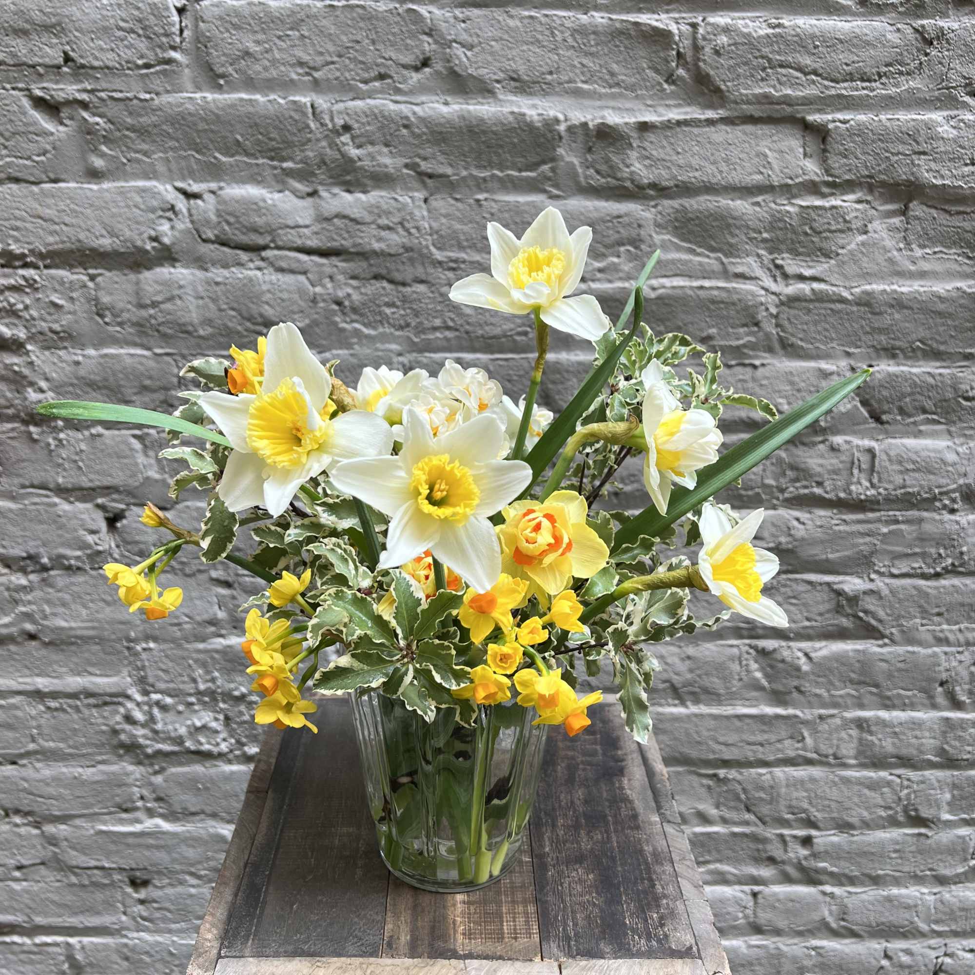 A bountiful selection of daffodils in an elegant white ceramic or clear