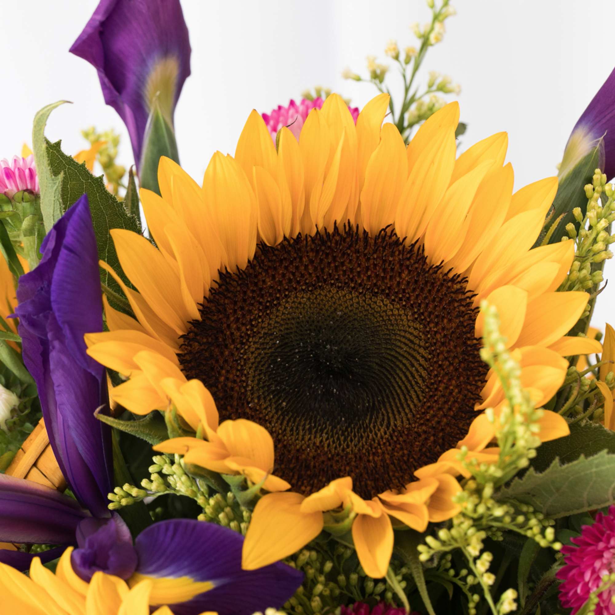 Brighten anyone's day with this delightful basket featuring sunflowers, asters, and more.