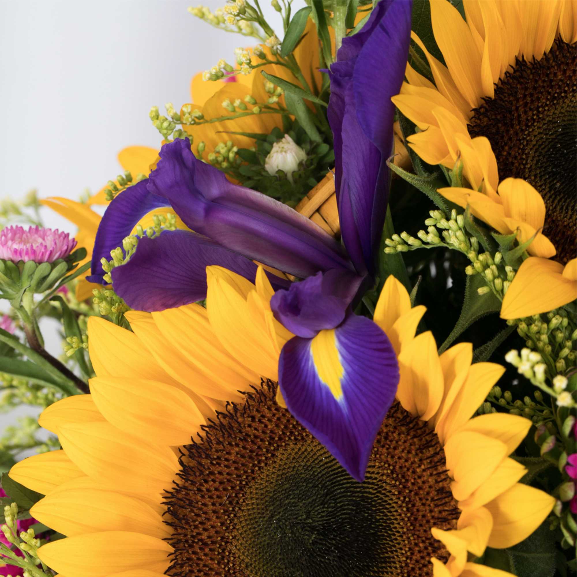Brighten anyone's day with this delightful basket featuring sunflowers, asters, and more.