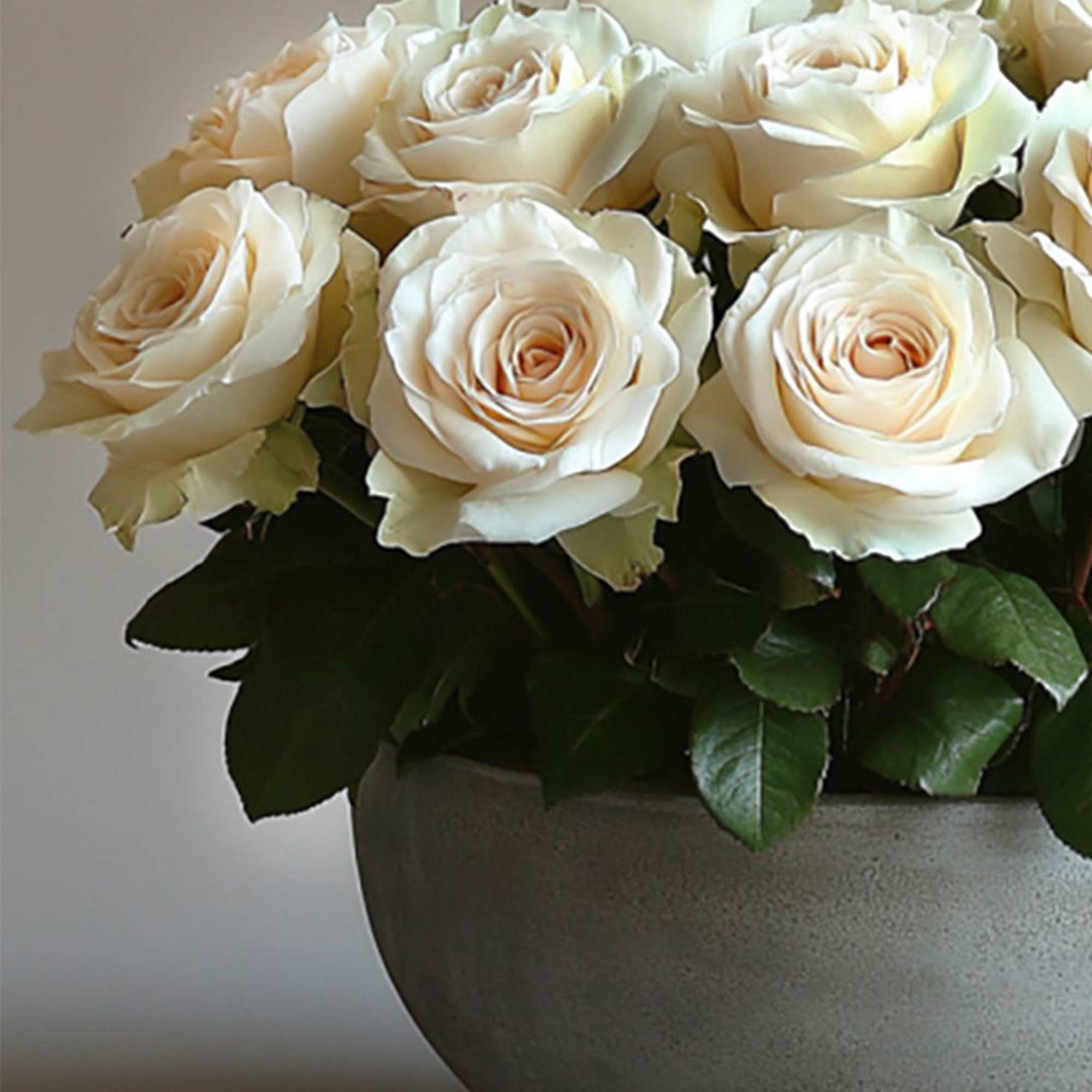 Cloud Petal is a refined arrangement of premium ivory roses designed in