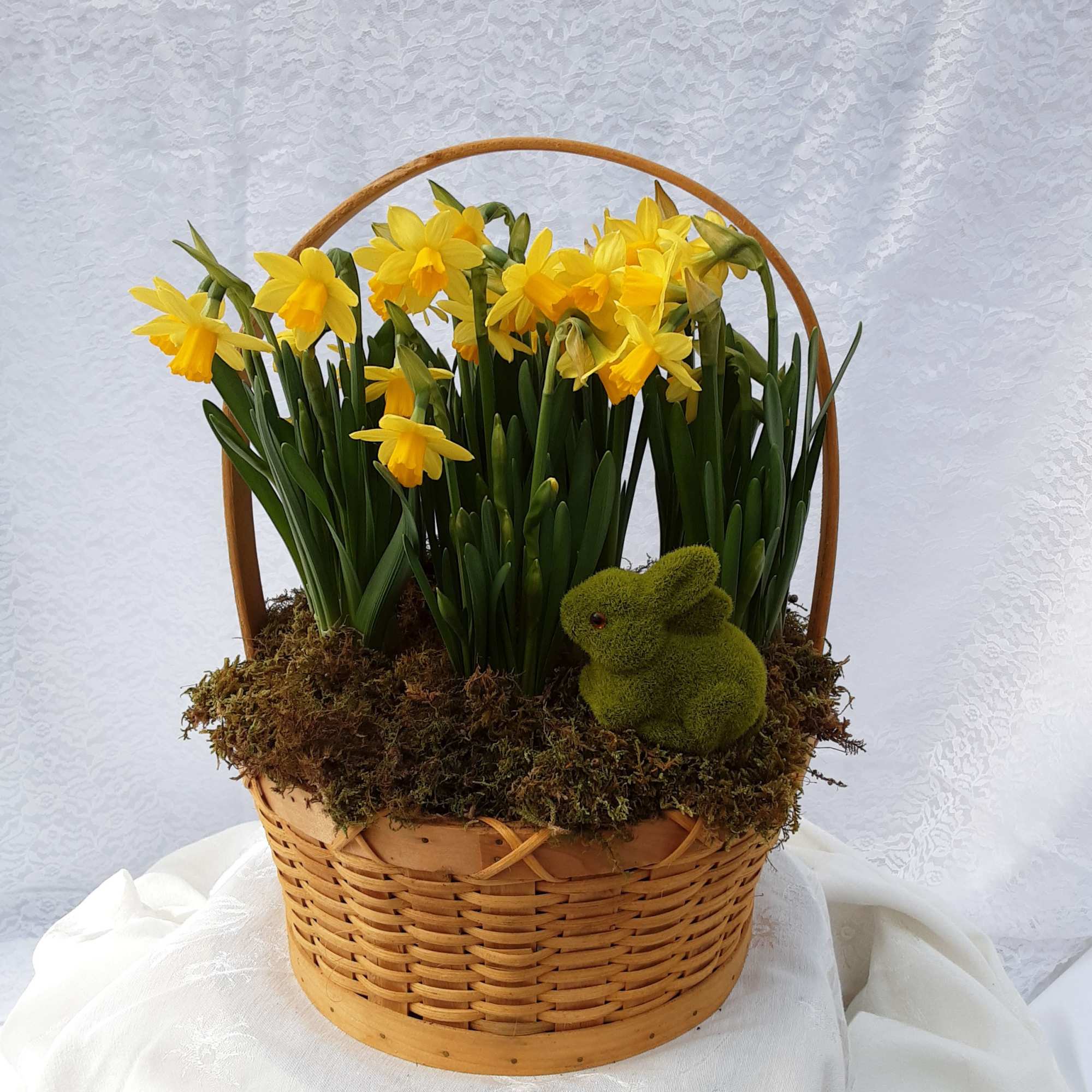 A basket full of spring bulbs that you can watch grow and