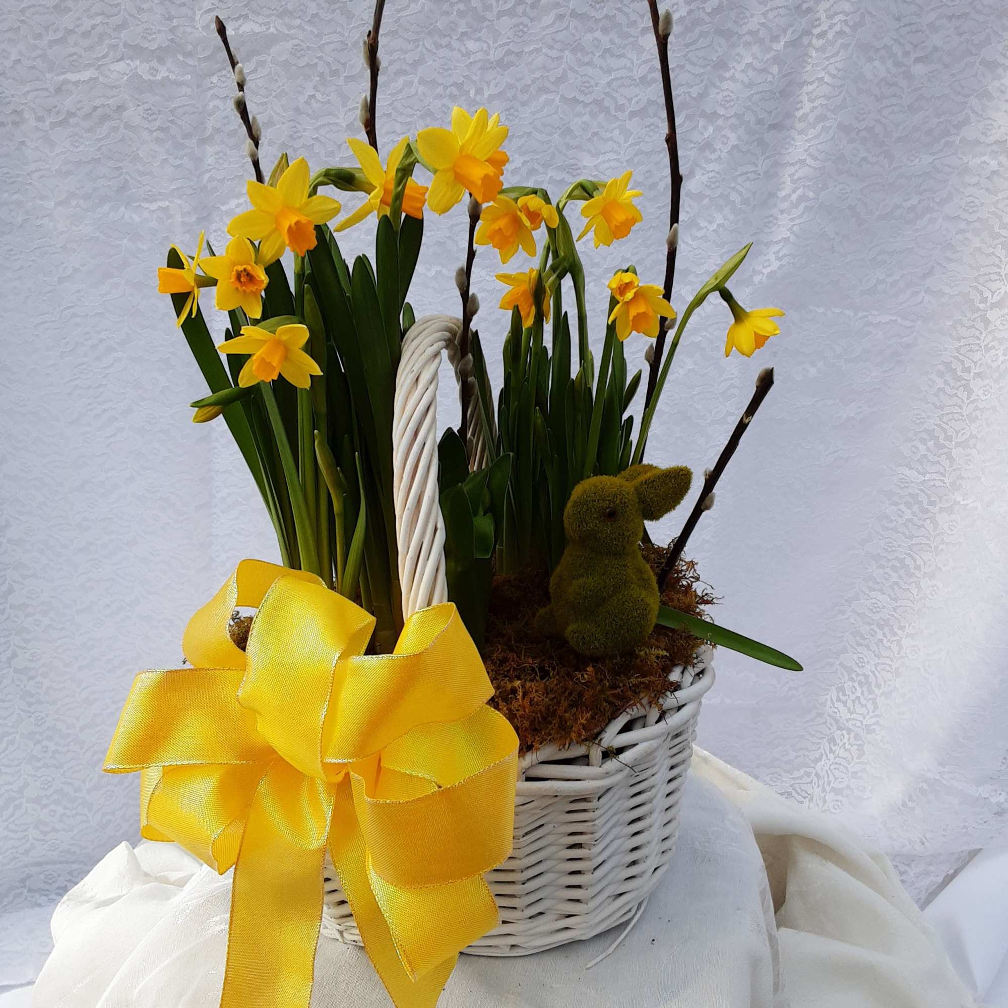 A basket full of spring bulbs that you can watch grow and