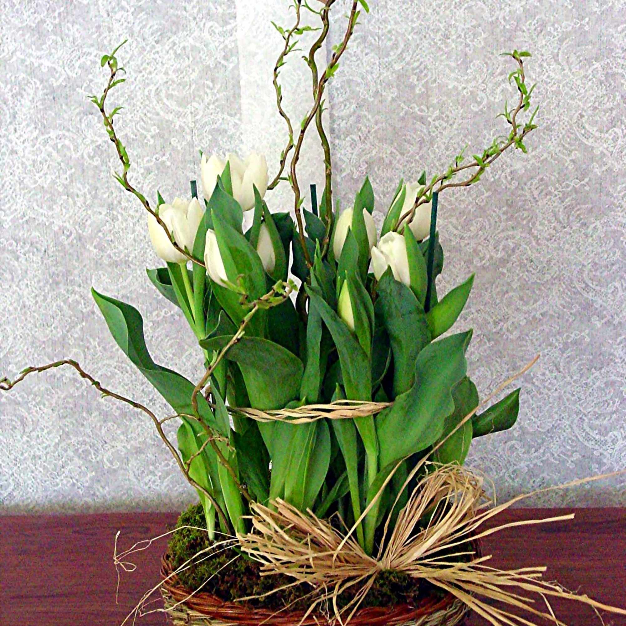 Nothing says Spring like a colorful pot of tulips! Tulip Plants come
