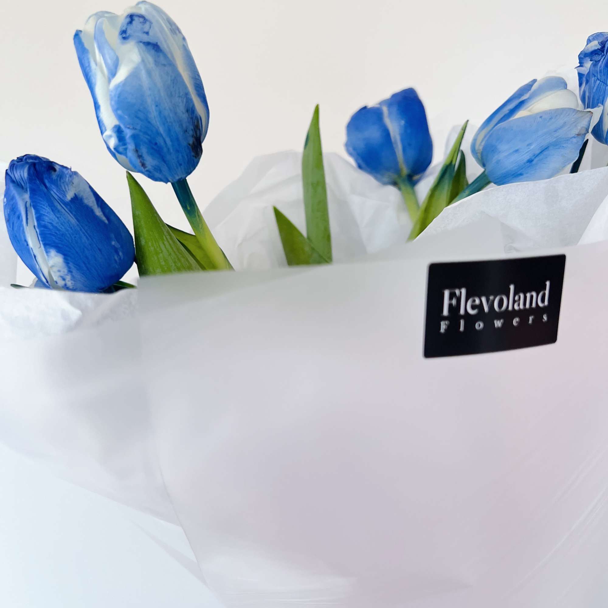 A bouquet of 10 tulips in deep, marbled shades of blue wrapped