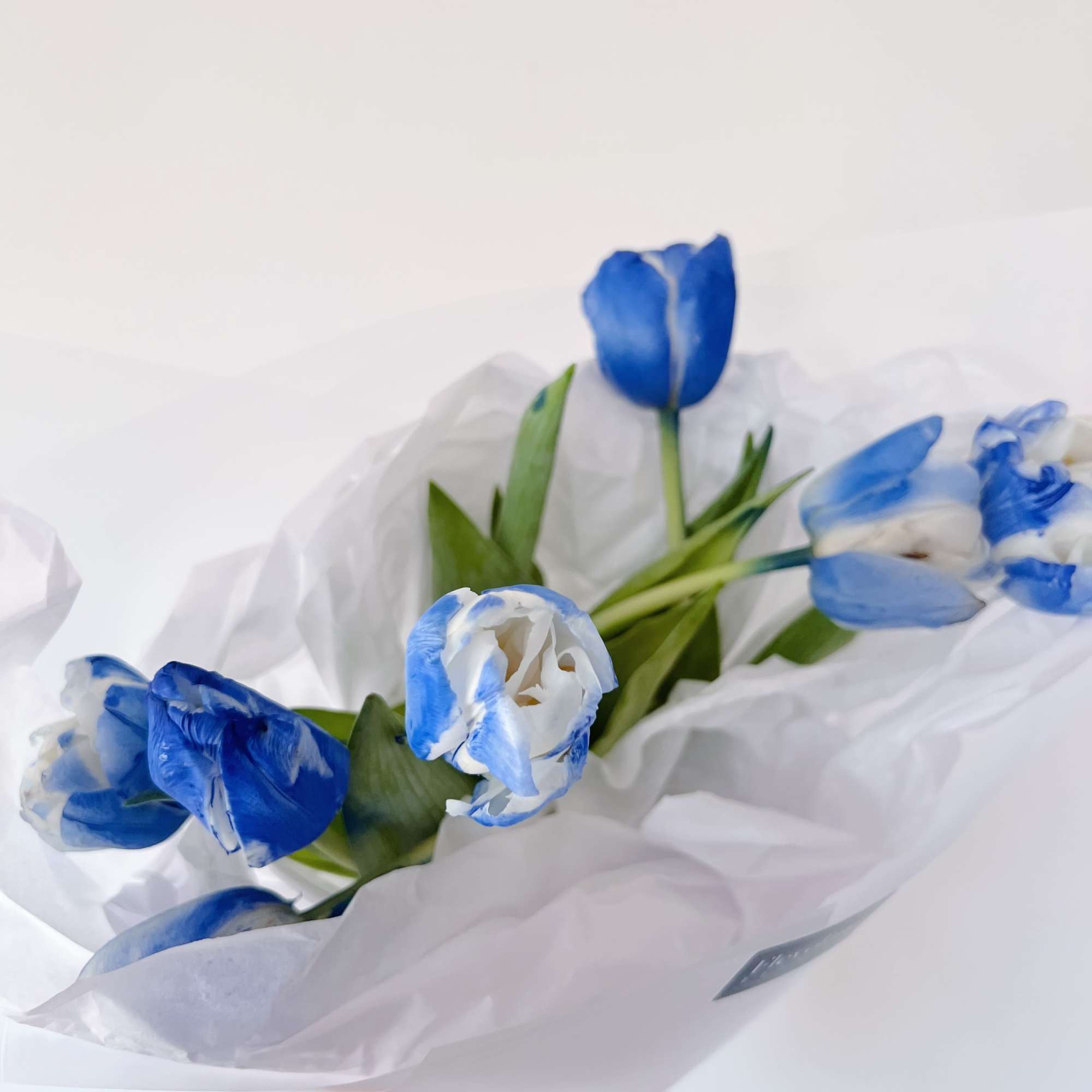 A bouquet of 10 tulips in deep, marbled shades of blue wrapped
