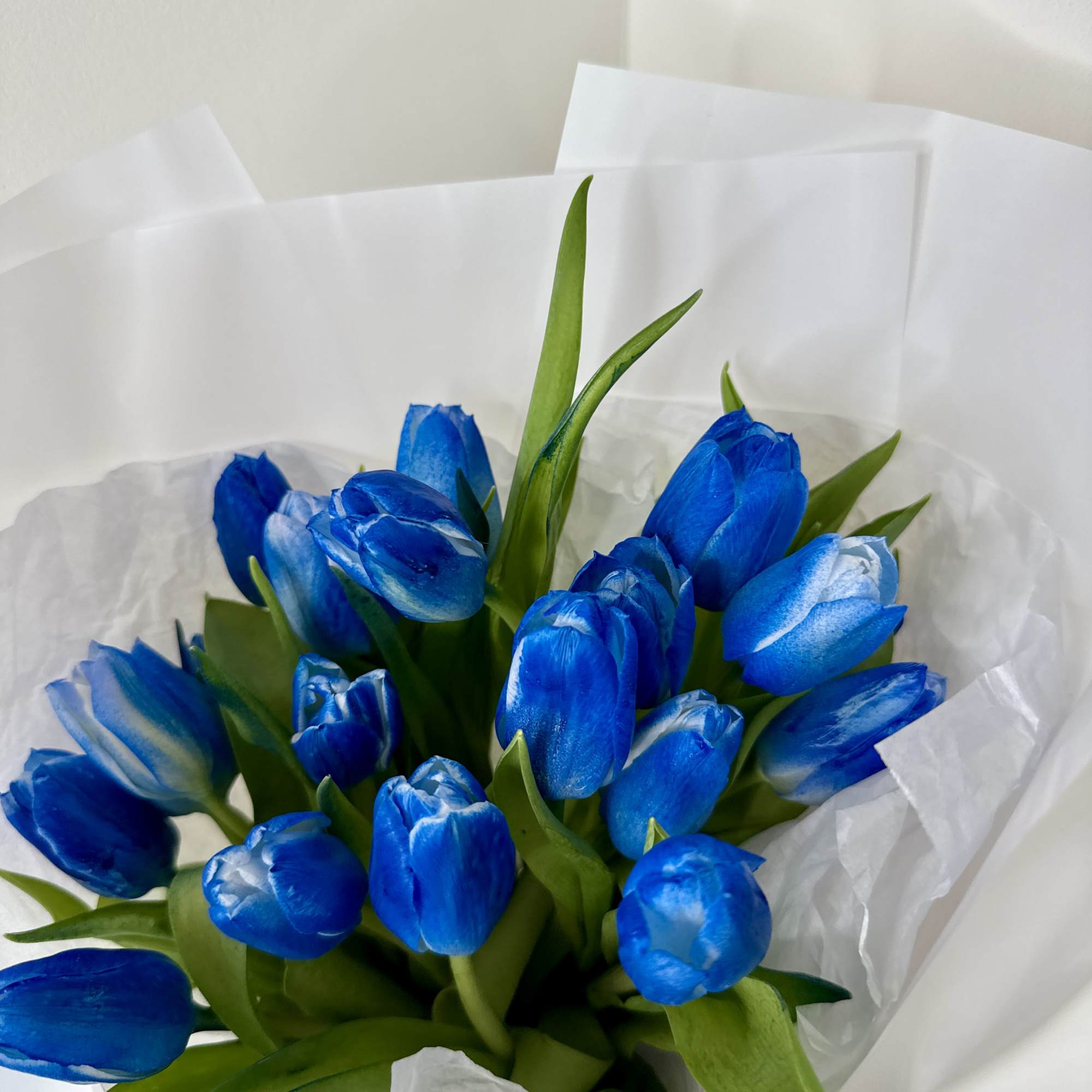 A bouquet of 10 tulips in deep, marbled shades of blue wrapped