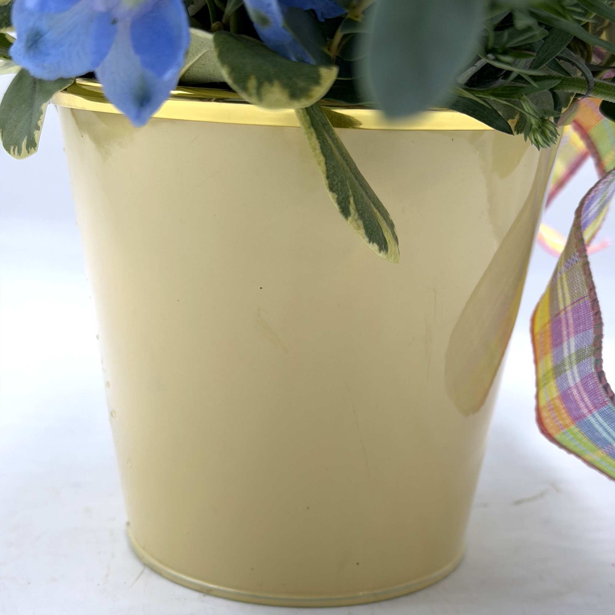 This garden-inspired arrangement bursts with fresh color and playful charm. Perfect for