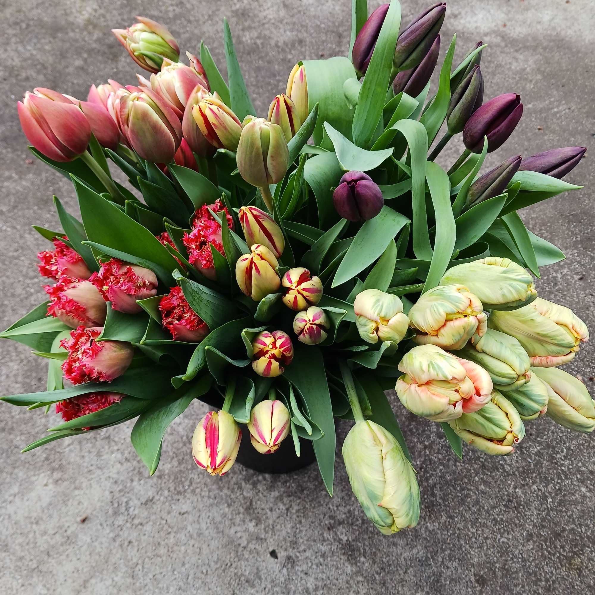 20 Local Tulips in a white hobnail vase 
You can specify a