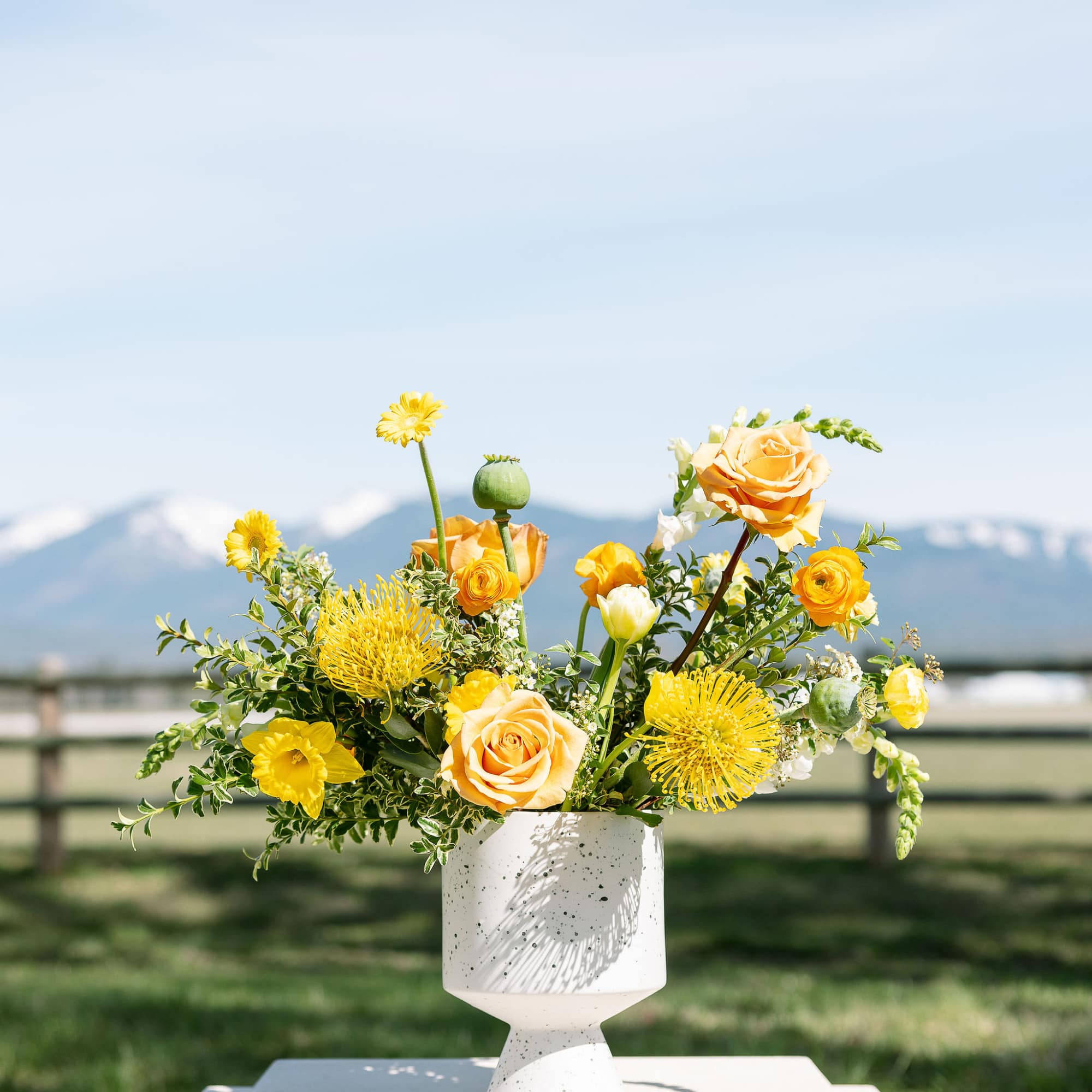 Featuring the freshest of what's in season, a color we're obsessing over