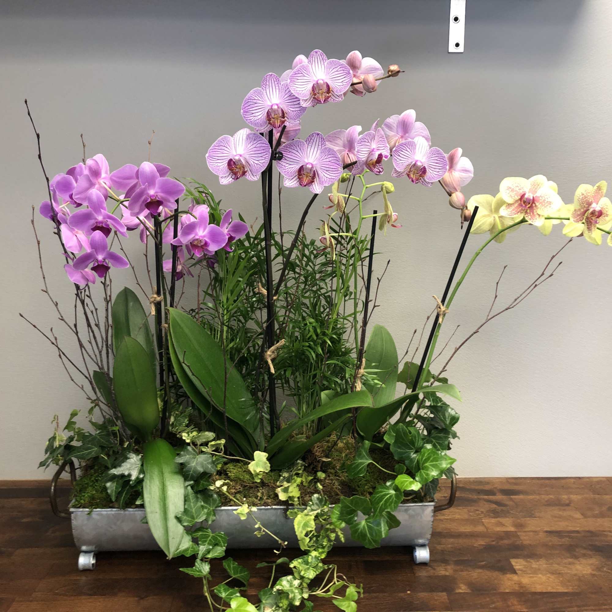 A stunning collection of orchids, in a complimenting color array.  The