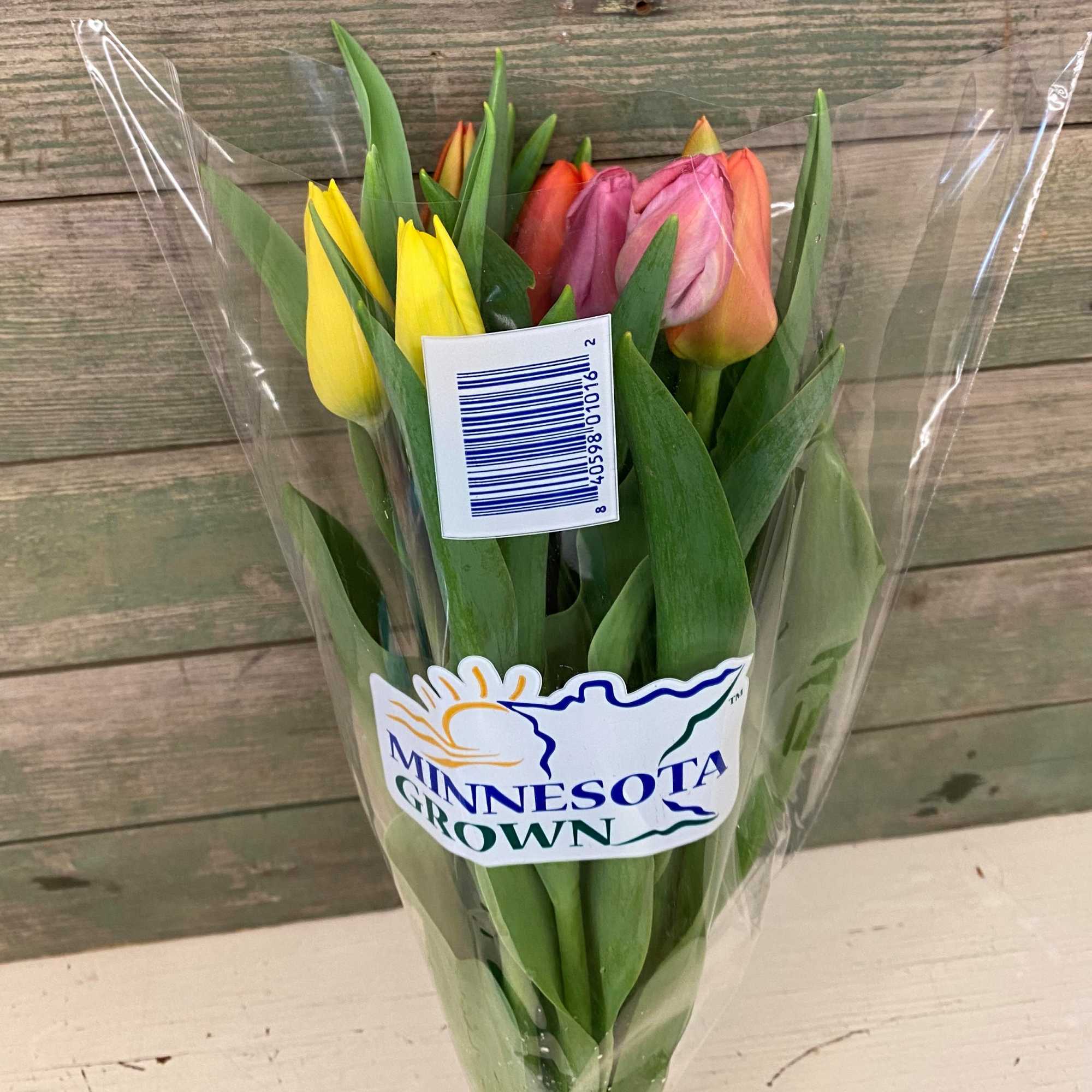 Fresh mix of MN grown tulips. 10 stems. Colors may vary. 
