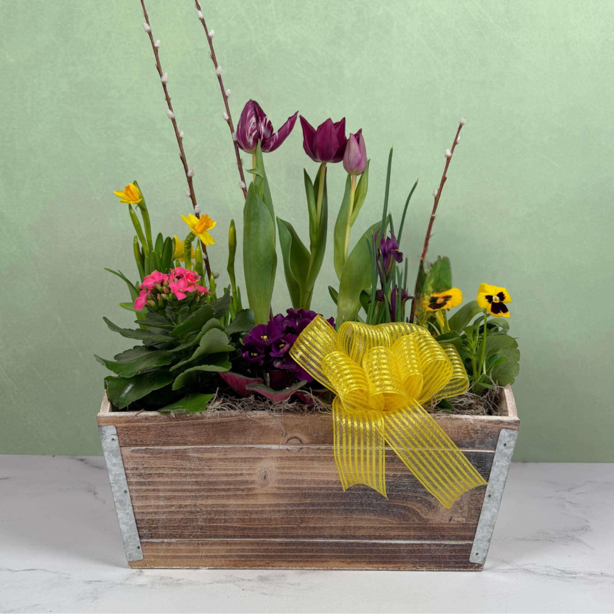 The Springtime Symphony Dish Garden by Savilles Florist is a delightful display